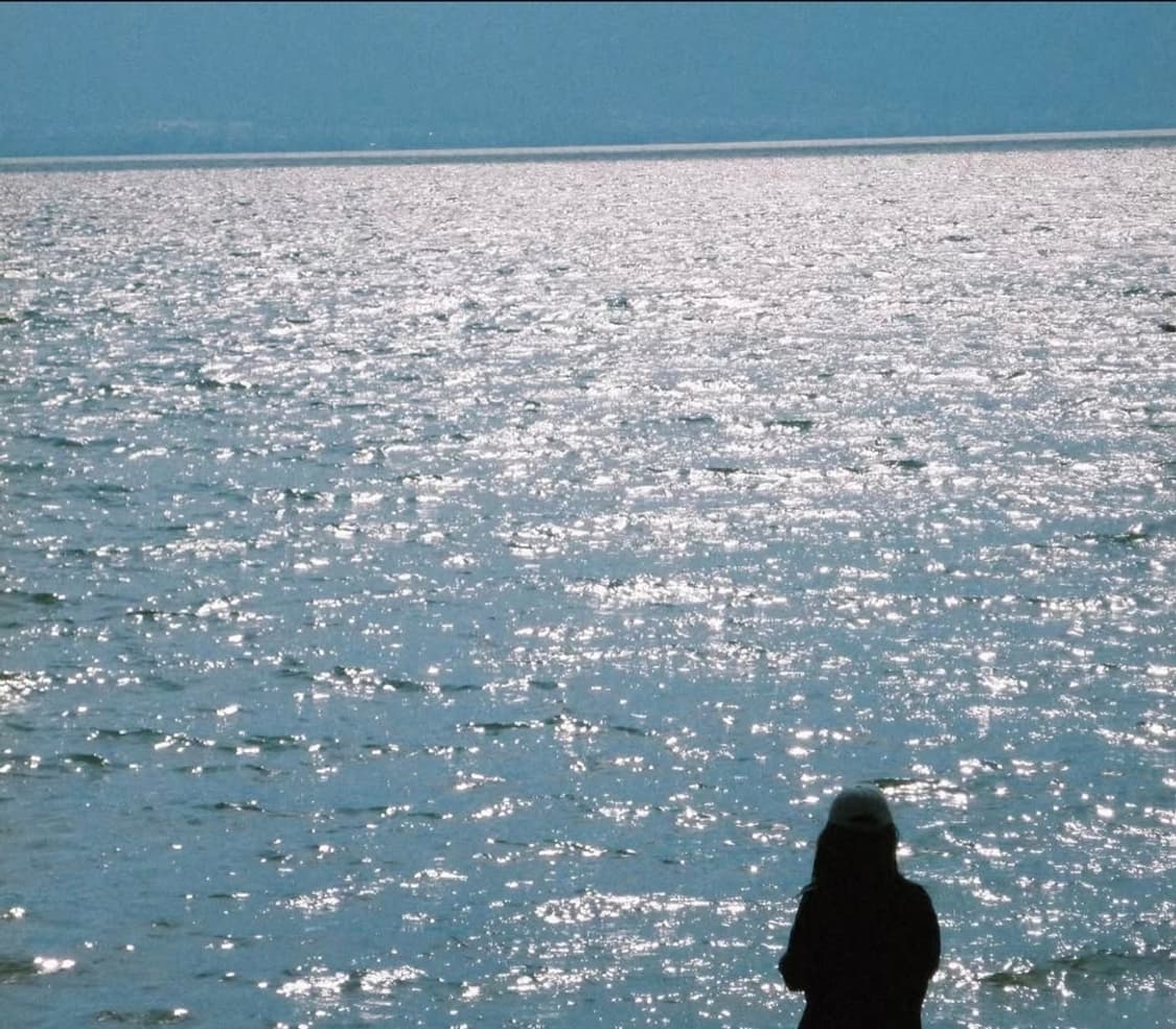 화사한 색감🌸 파나소닉 루믹스 FX55 연핑크 💗 상품이미지4