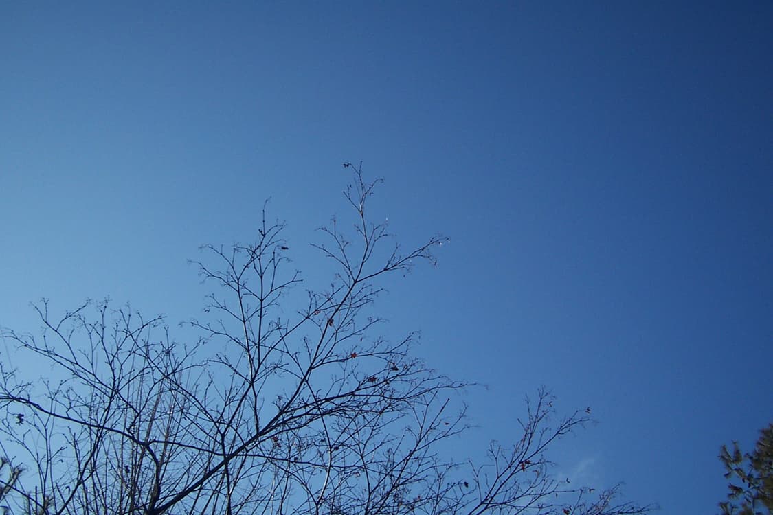 코닥 이지쉐어 LS420 디카 상품이미지7