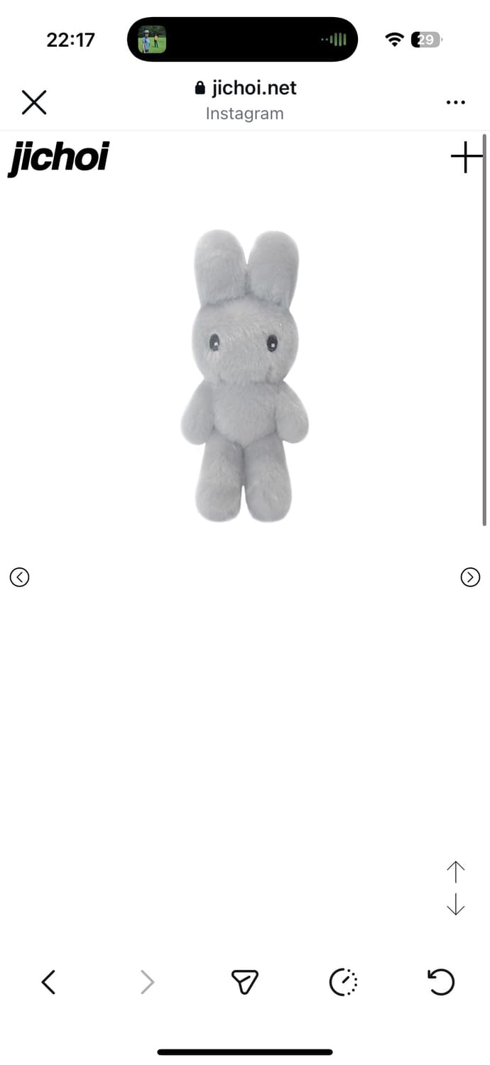 지초이 미니 롱토 구합니다 상품이미지1