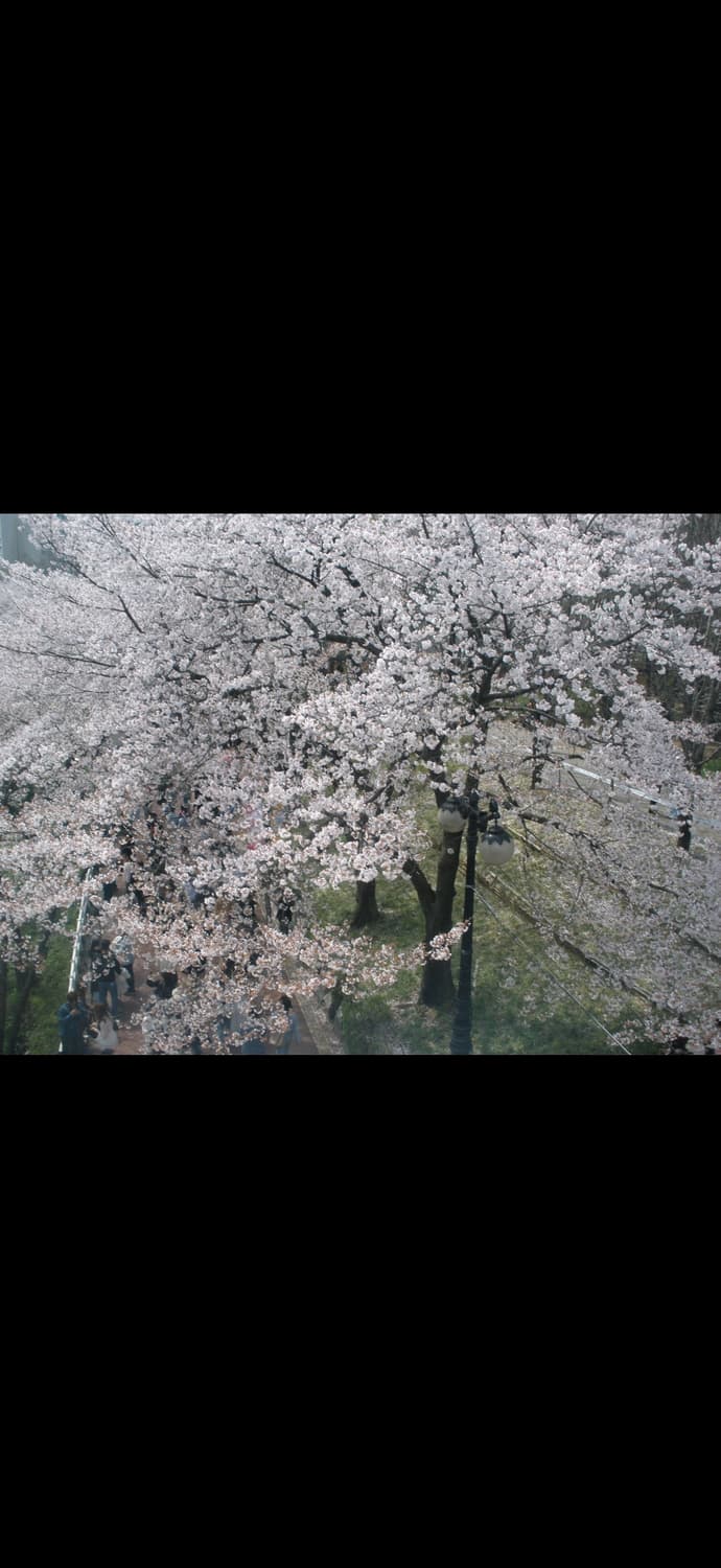 올림푸스 FE-370 핑크  (작례 O) 상품이미지5