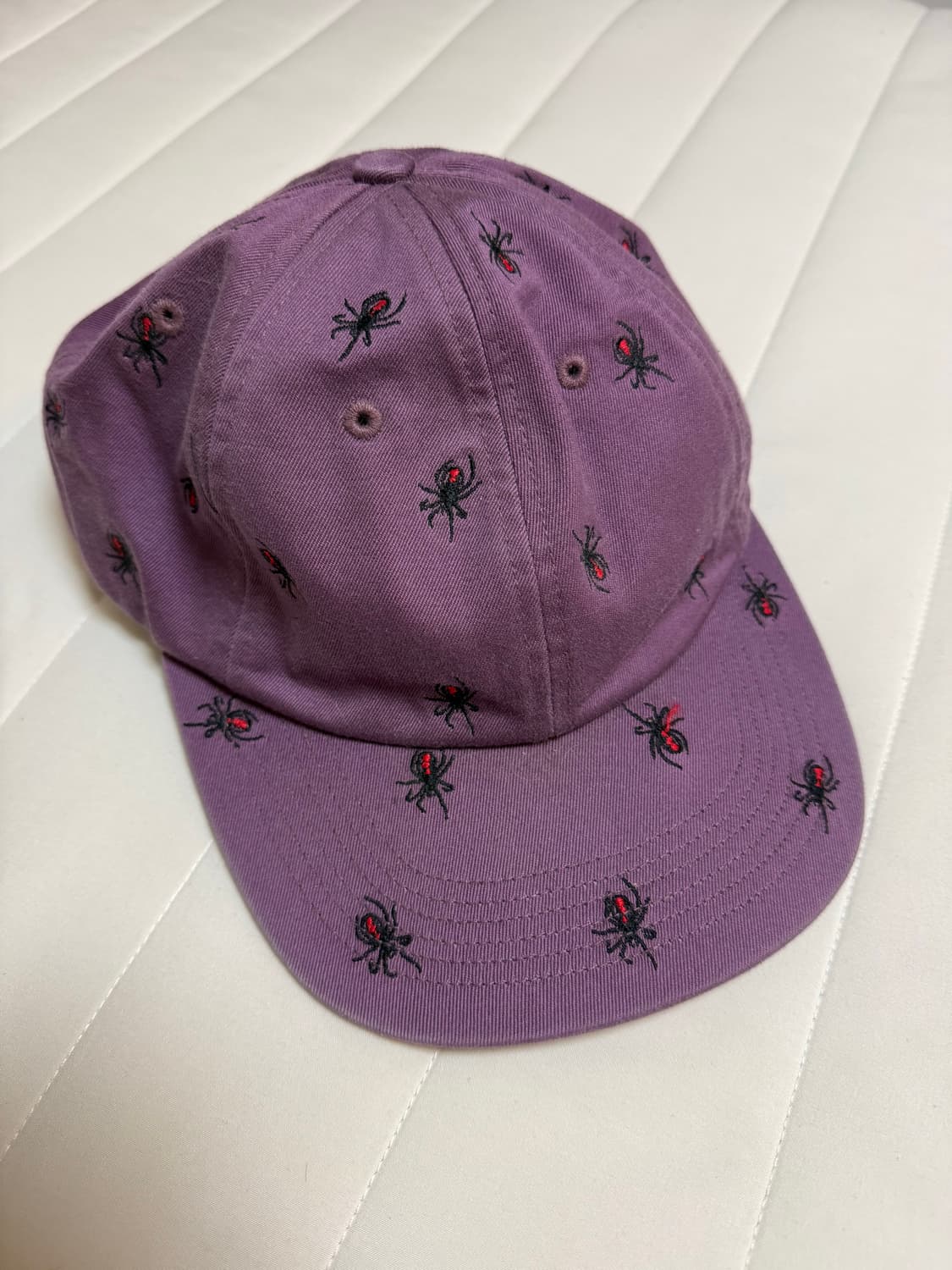 슈프림 스파이더 6 패널 캡 상품이미지1