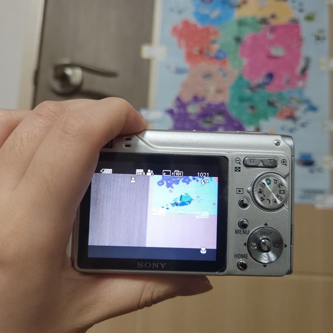 작례) 소니 사이버샷 DSC-W200 디지털 카메라 디카 똑딱이 상품이미지2