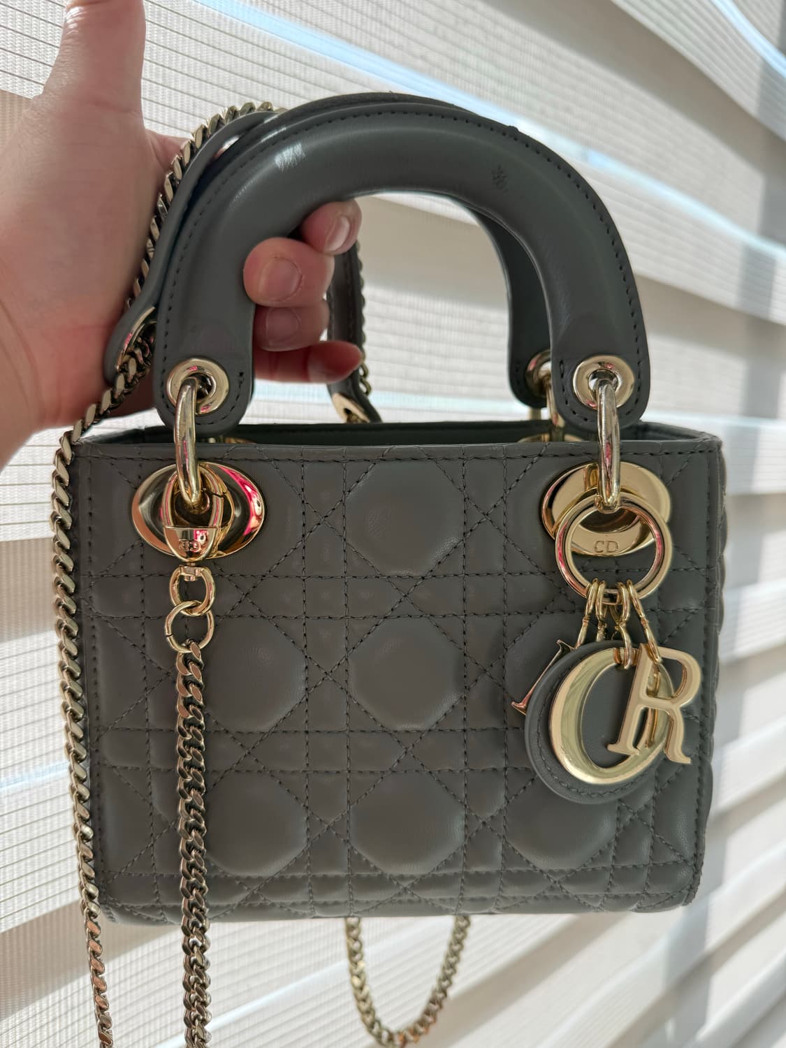 디올정품레이디백스몰 상품이미지1