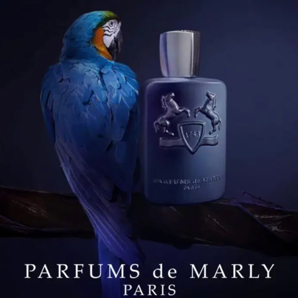 [정품]PARFUMS DE MARLY 퍼퓸드말리 레이튼 오드퍼퓸125ml 상품이미지2