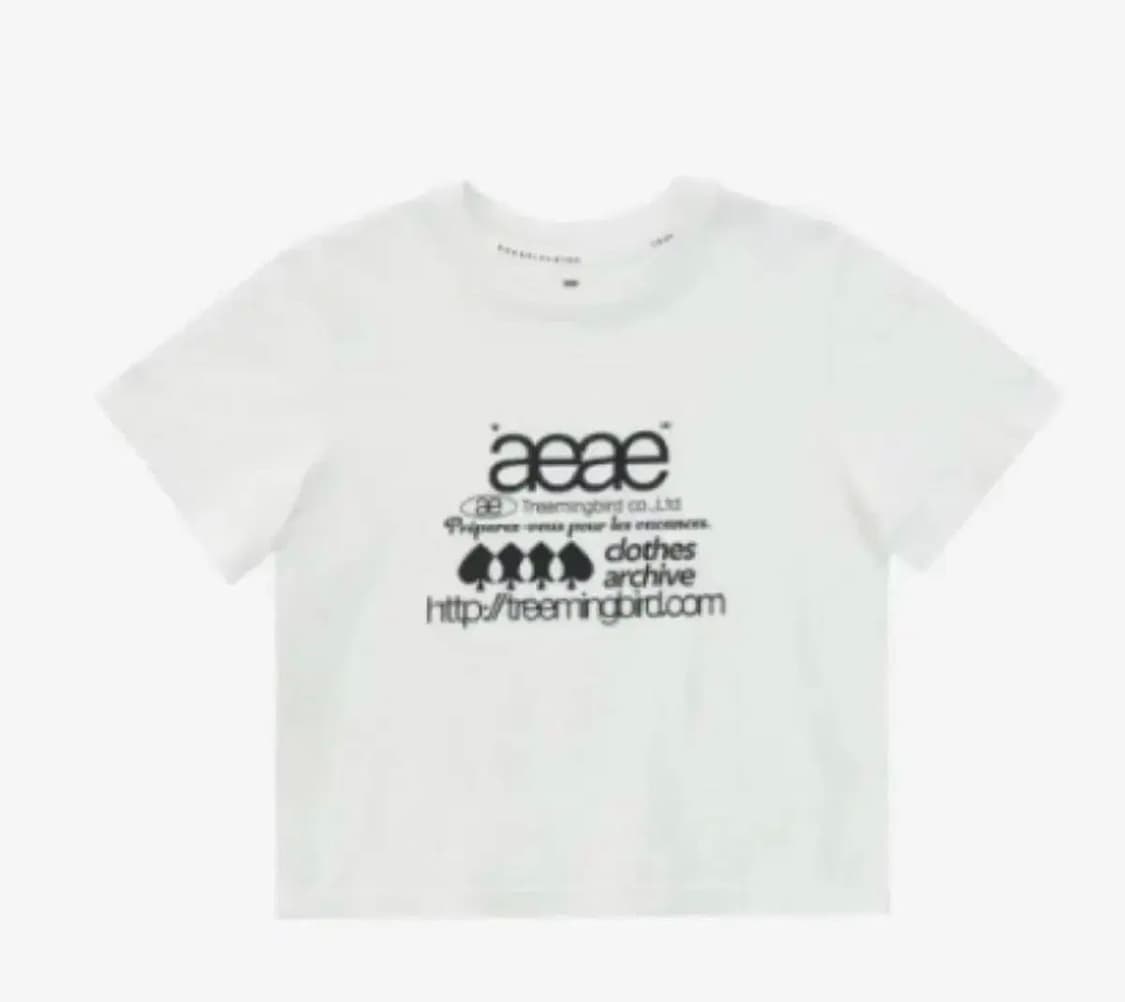 일괄) 트리밍버드 반팔티셔츠들 상품이미지5