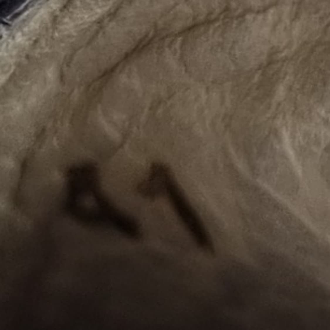 엠포리오 아르마니 남성정장구두 260 상품이미지6