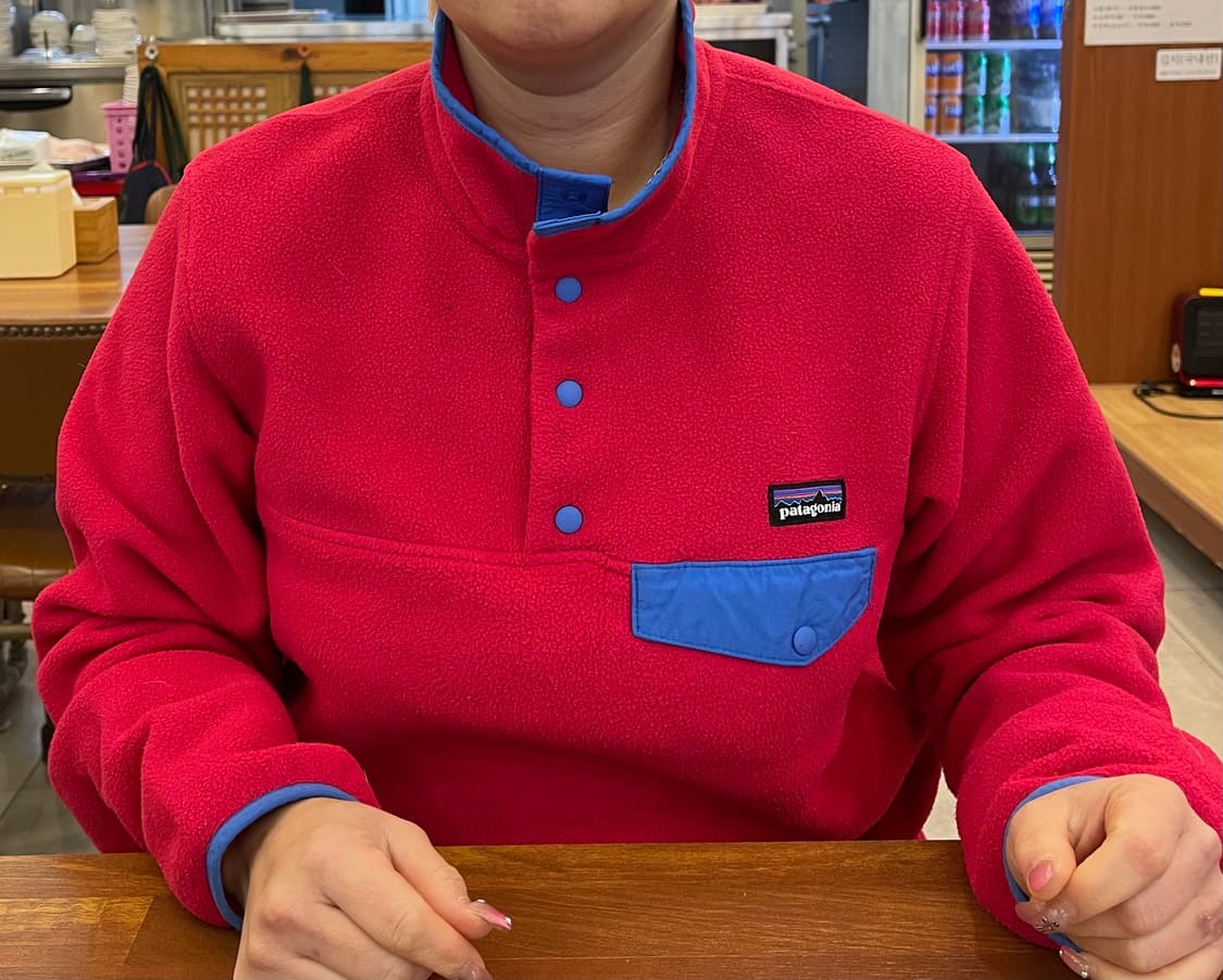 Vintage 파타고니아 신칠라 후리스 M   상품이미지8