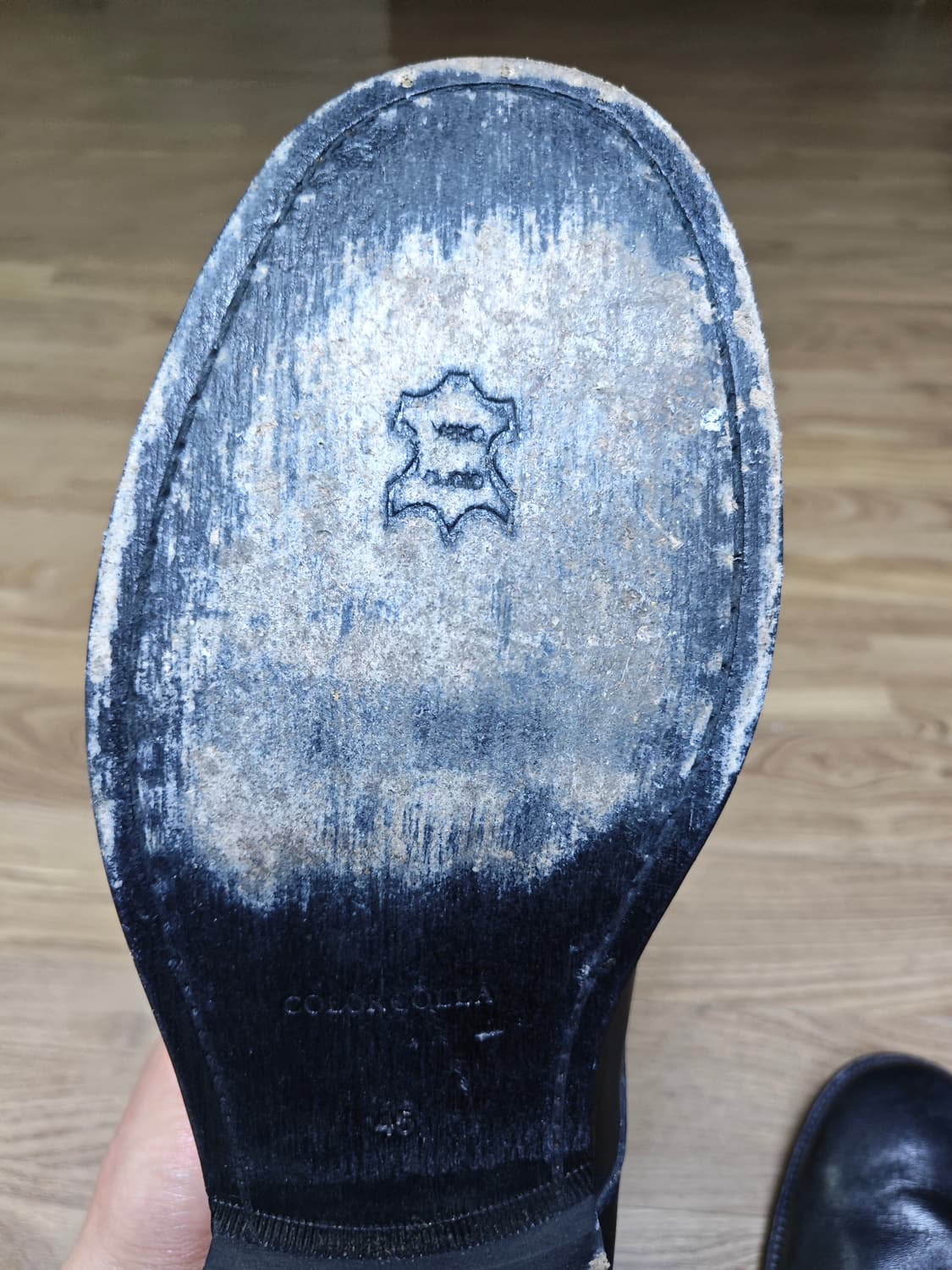 컬러콜라 10007 BK HORSE DREBY 280 상품이미지6