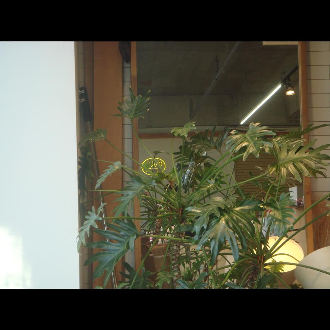 소니 사이버 DSC-T50  네이비블루🌊  빈티지 디카 디지털카메라 상품이미지2