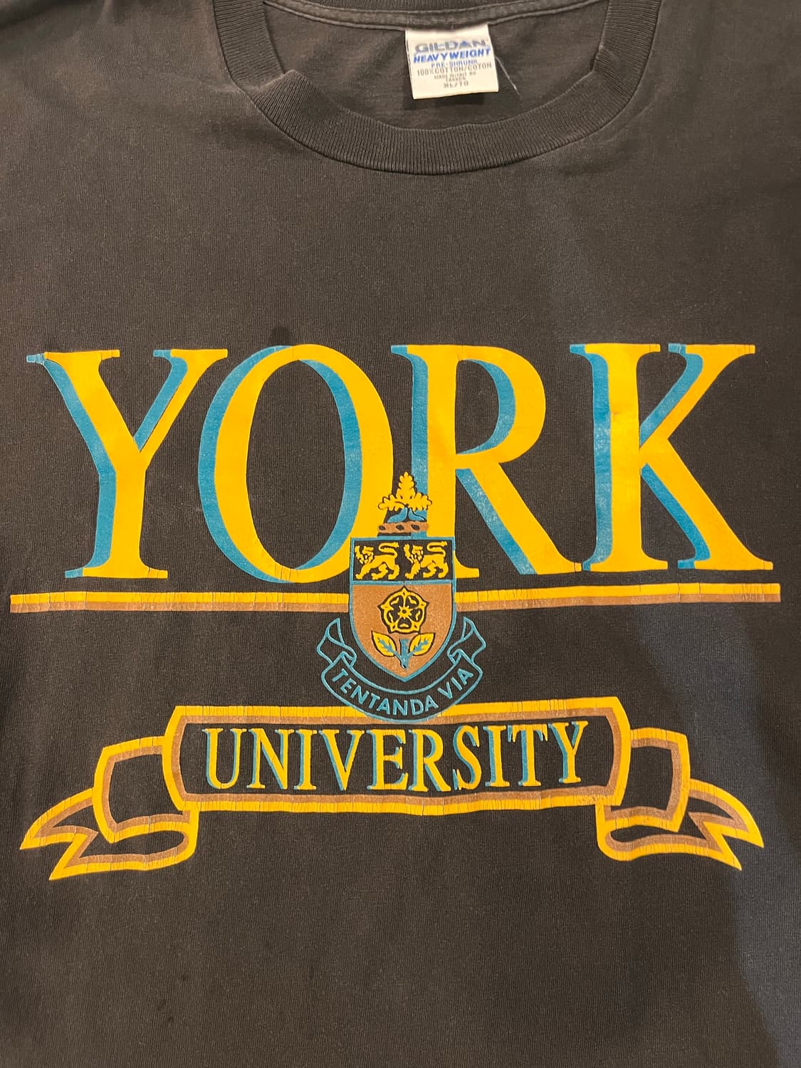 90’s York University 프린팅 티셔츠 XL 상품이미지4