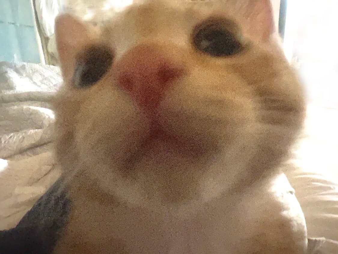 •••• 상품이미지1