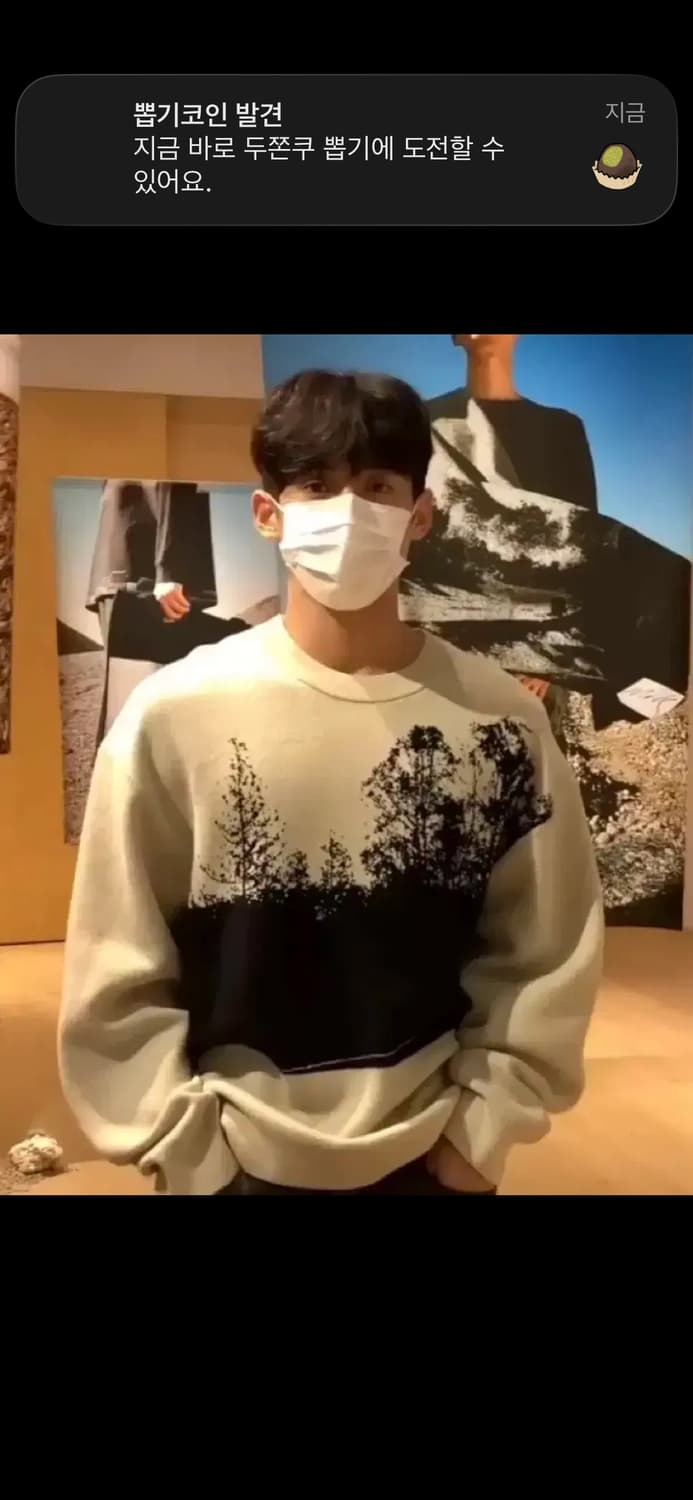 COS 코스 목정욱 니트 스웨터 M 상품이미지1