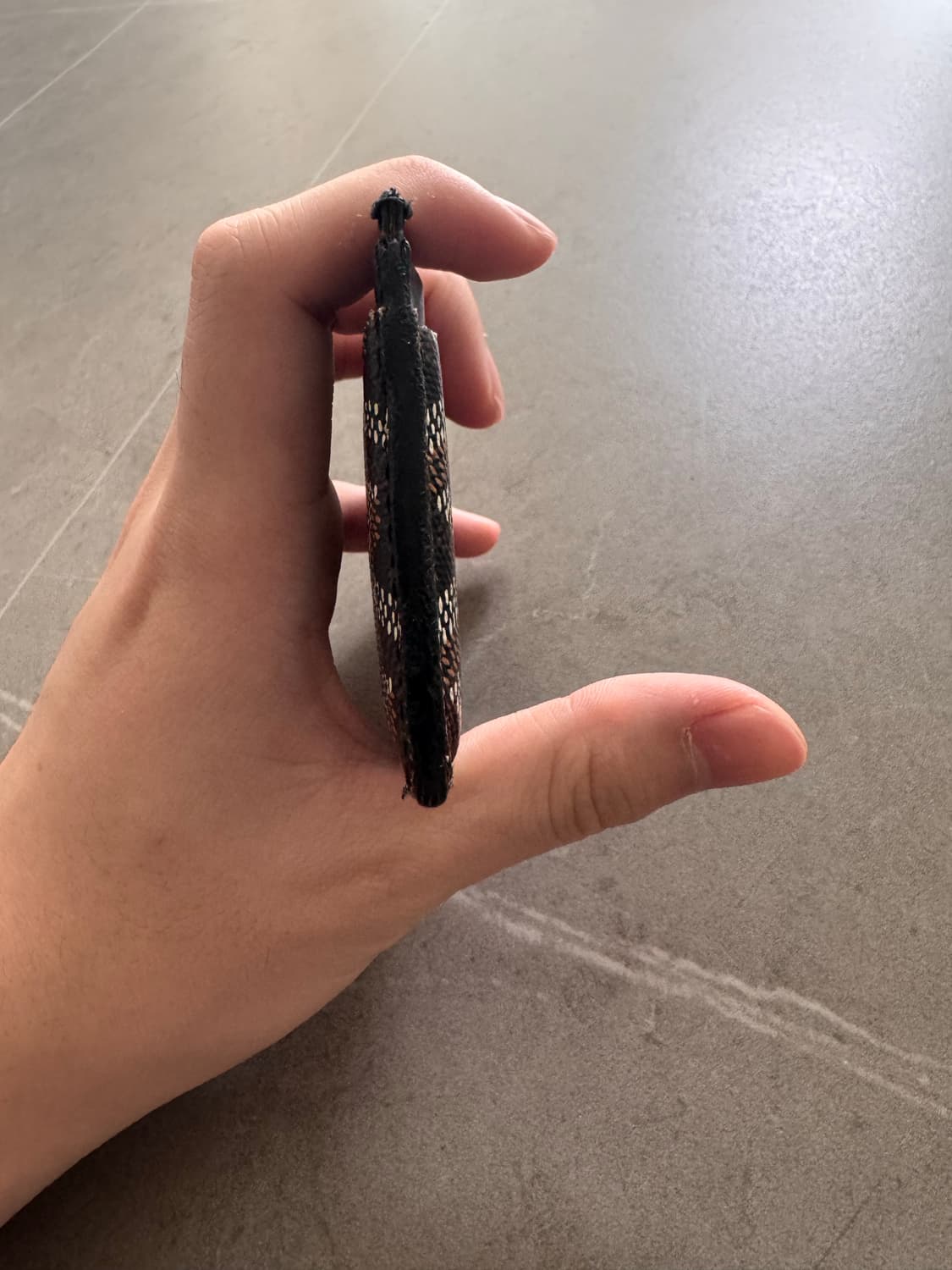 고야드 생쉴피스 블랙 카드지갑 상품이미지10