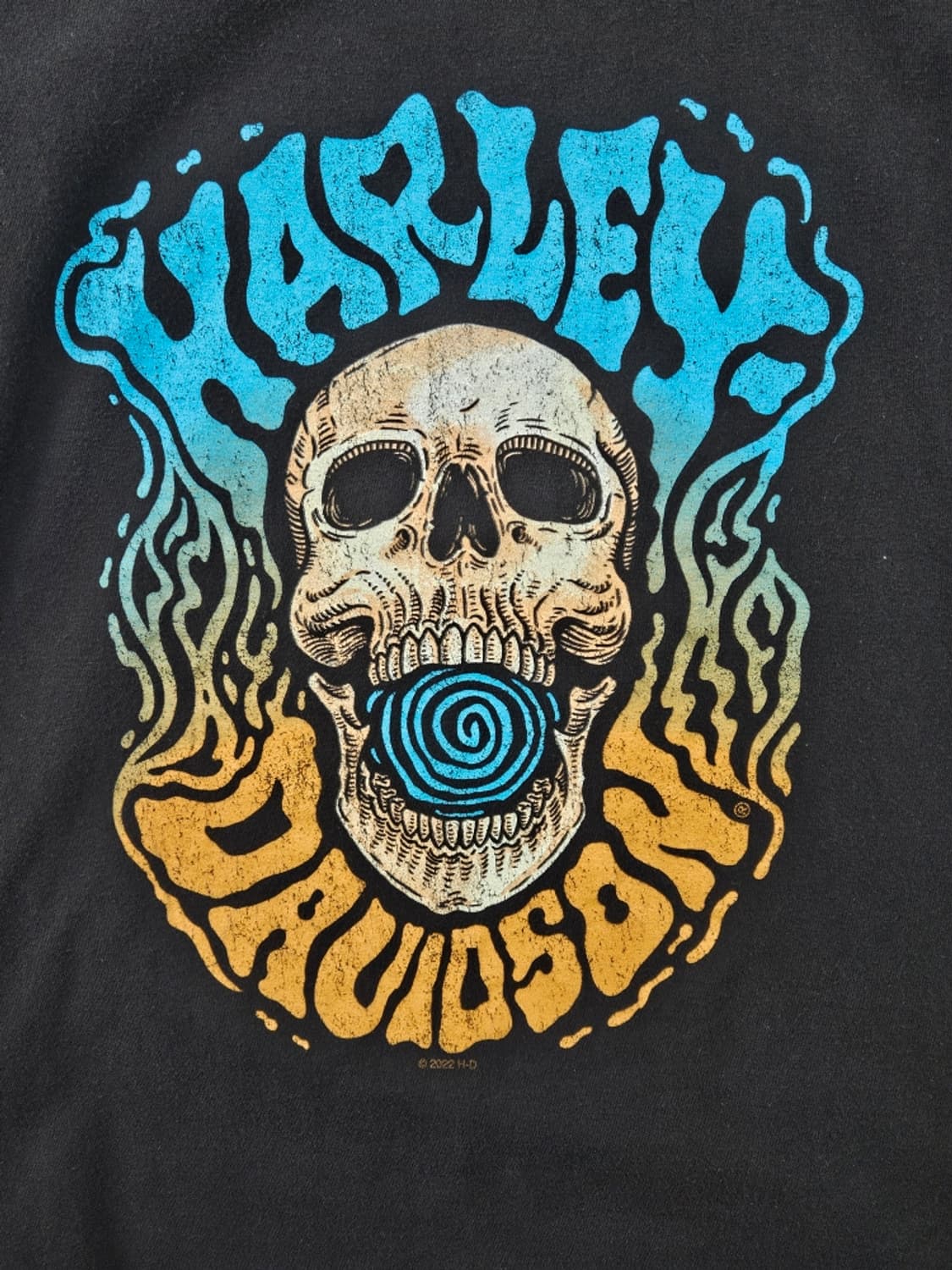 할리데이비슨 캐나다 새스커툰 레드라인 반팔 티셔츠 (M추정)/ 11647 상품이미지5