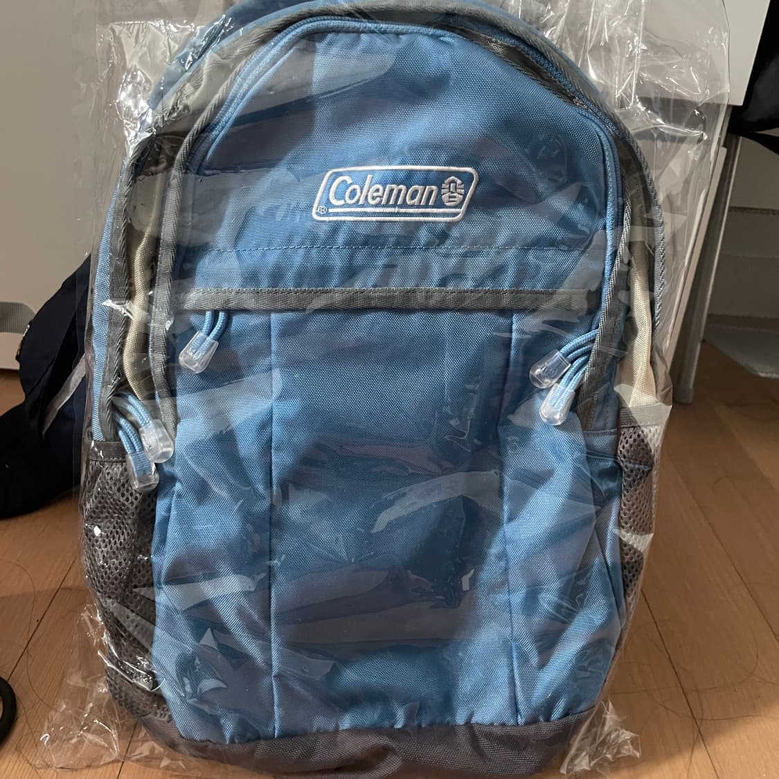 coleman 콜맨 스카이블루 하늘색 백팩 상품이미지2