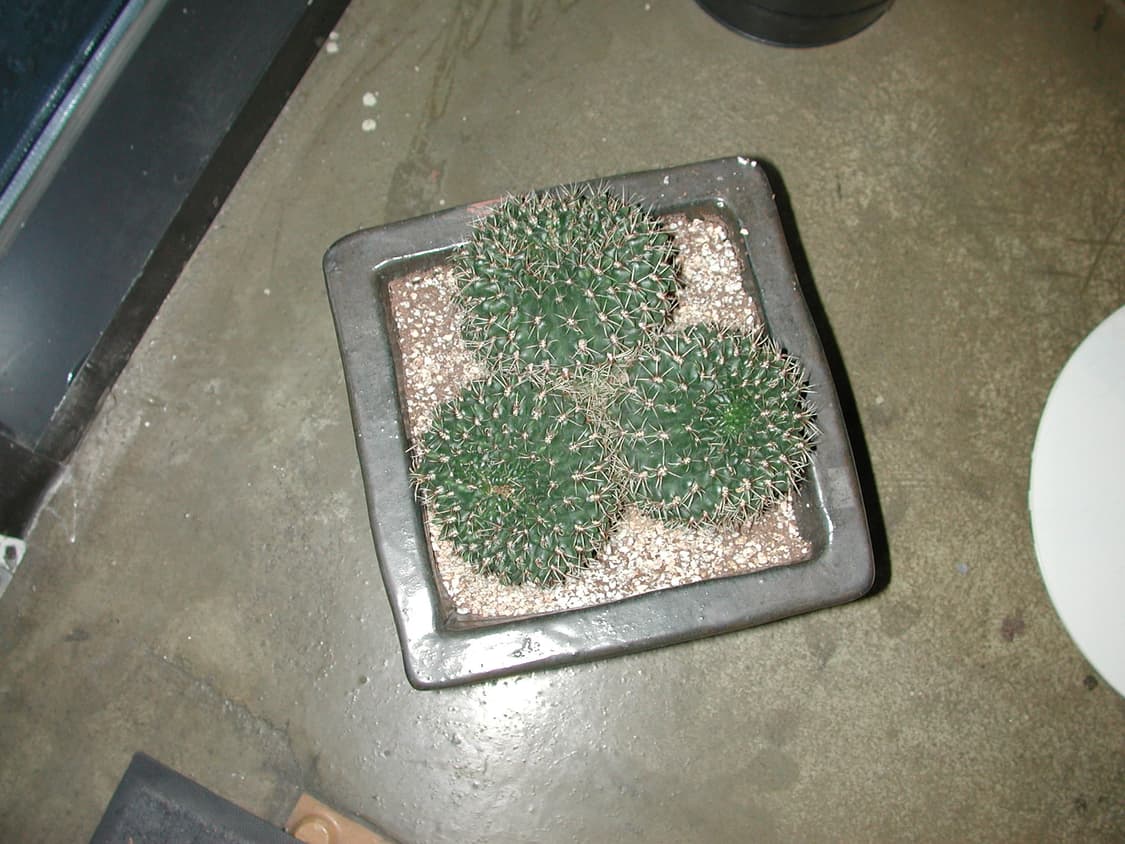 레어/셀카가능)니콘 쿨픽스 990 빈티지디카 상품이미지8