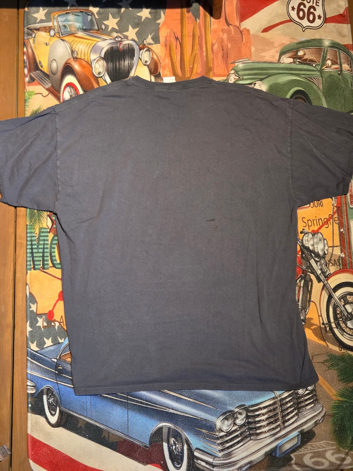 아메리칸 이글 프린팅 티셔츠 상품이미지2