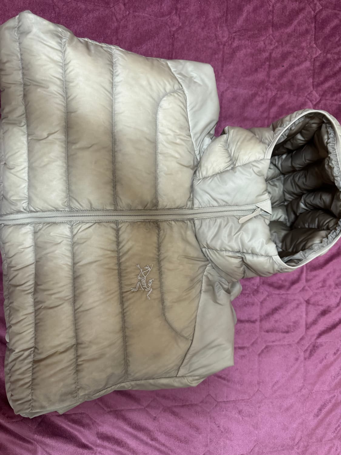 아크테릭스 세륨 후드 룬 색상 상품이미지2