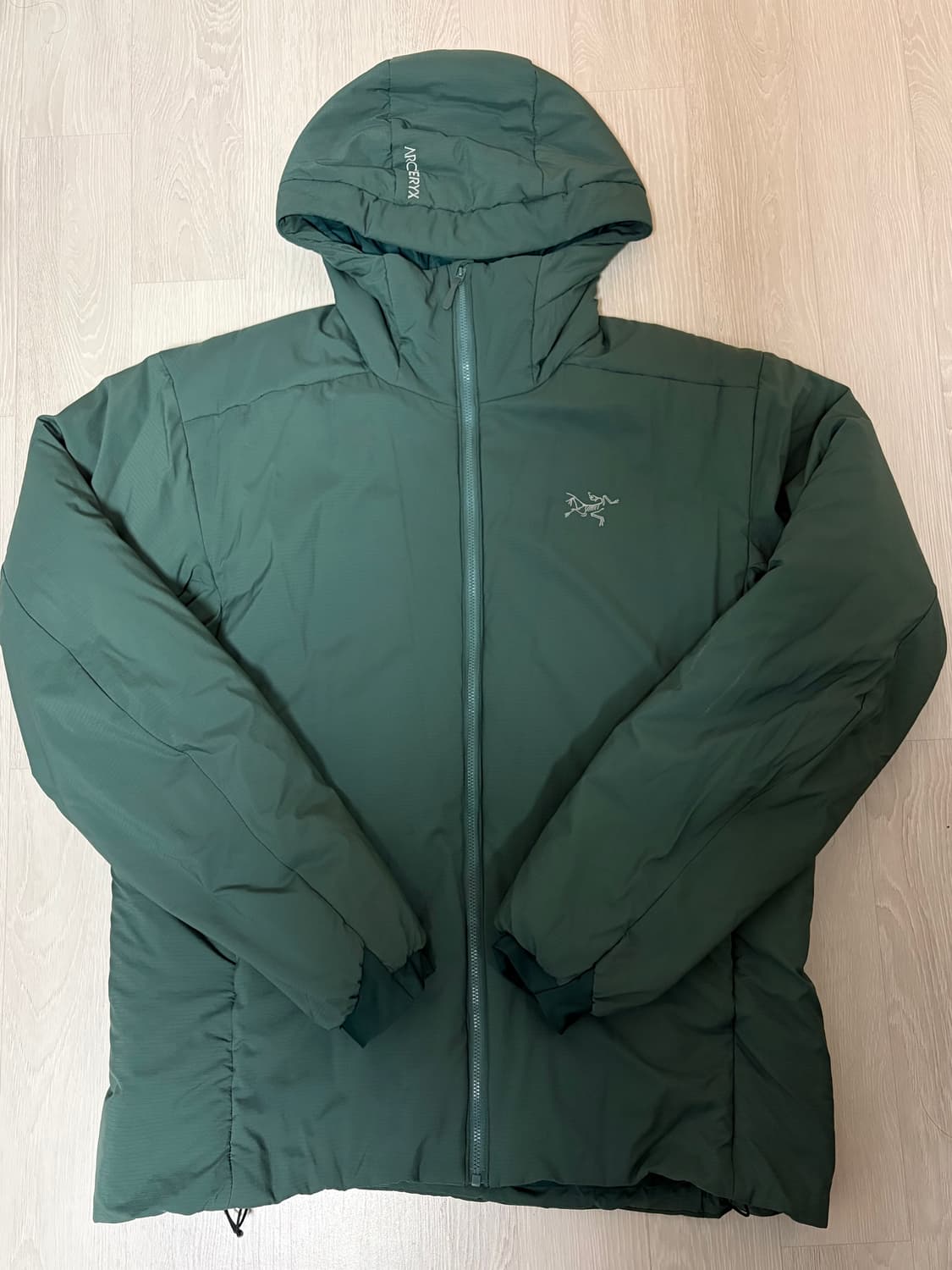 아크테릭스 아톰 후디 (L) 상품이미지1