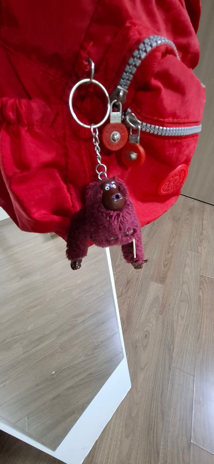 키플링 레드 크로스백 + 키링 상품이미지5