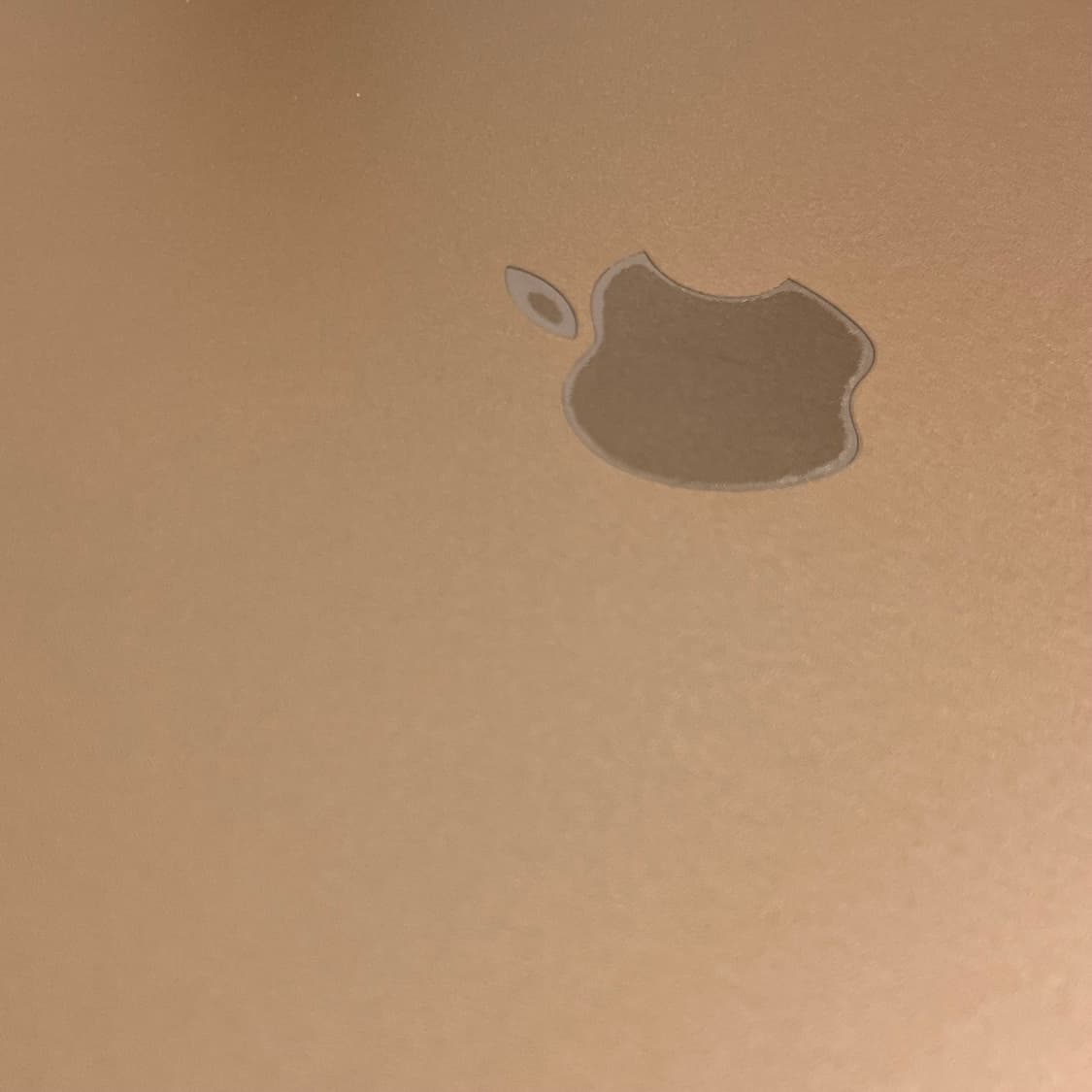 아이패드8세대 셀룰러 32기가 골드 + 애플펜슬 1세대 상품이미지4