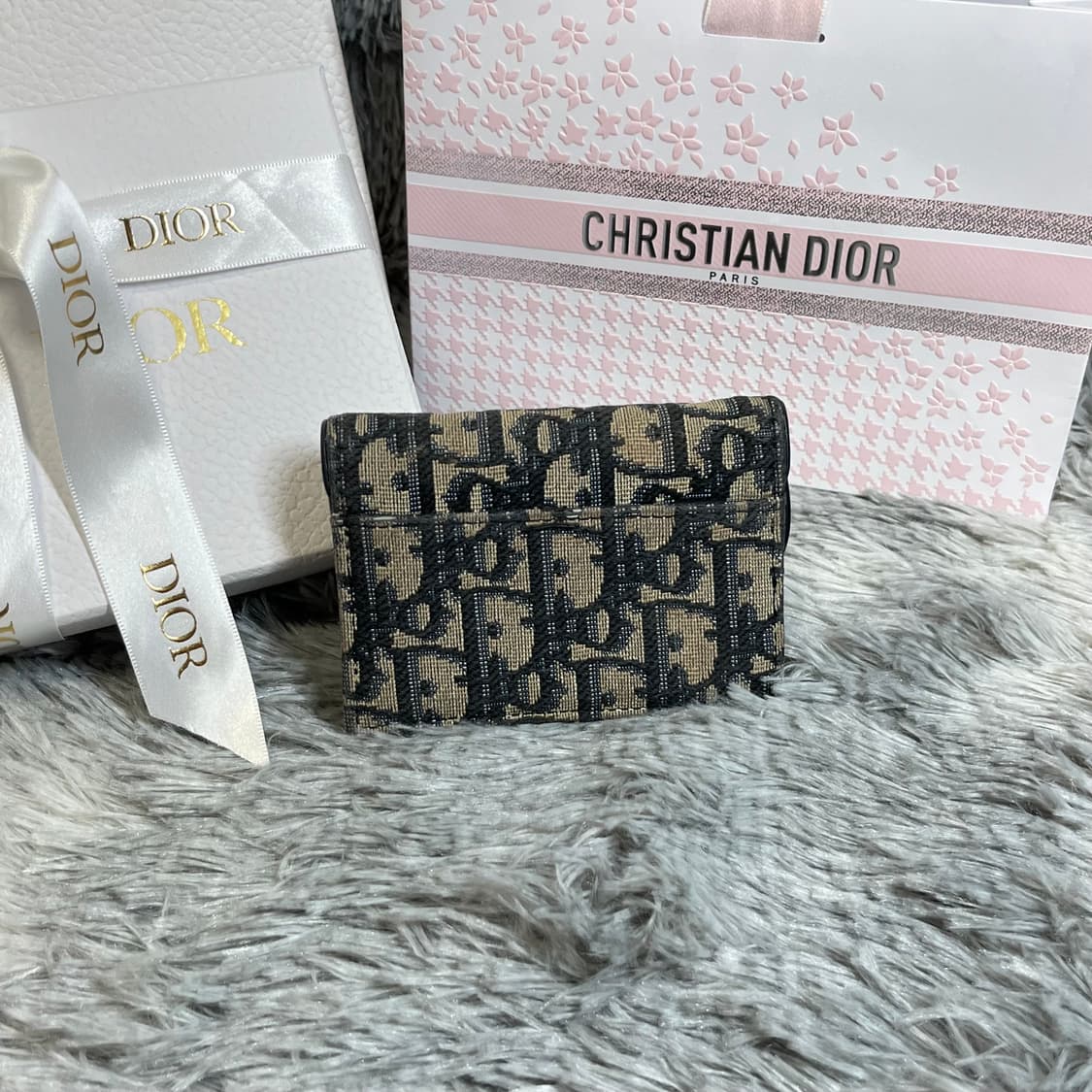 디올 오블리크 새들 카드지갑 풀박스 상품이미지2