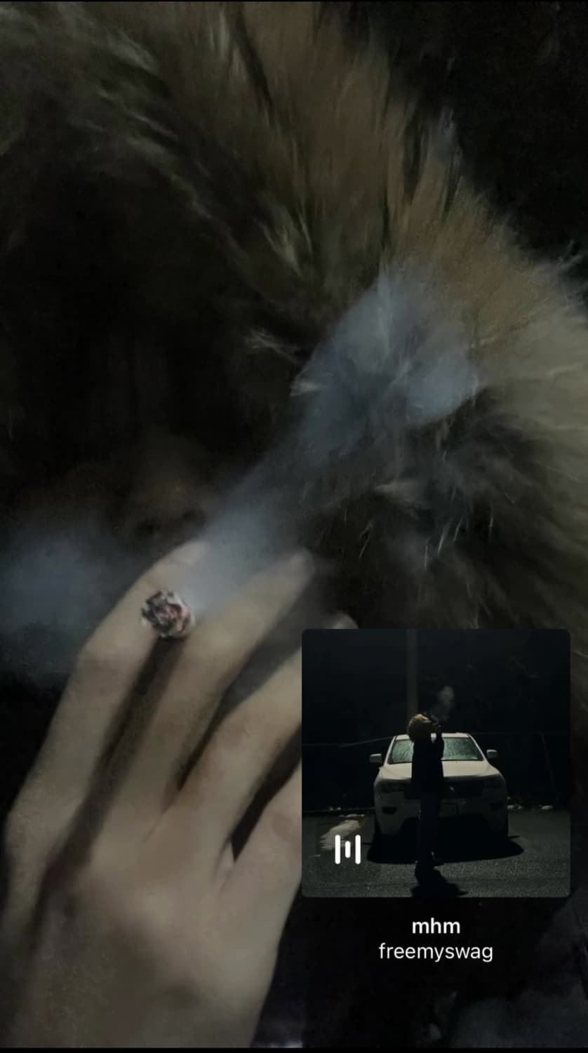 피레넥스 정품 패딩 s 사이즈 상품이미지2