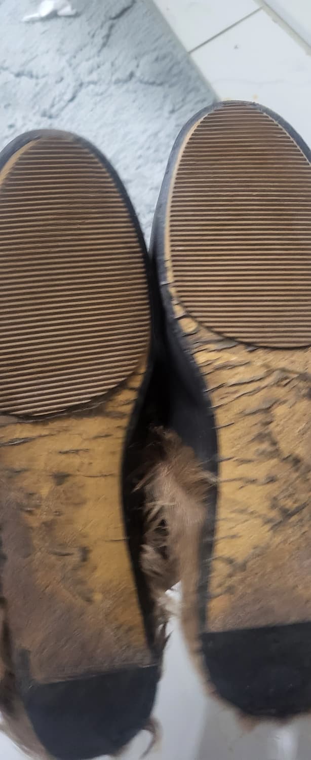 구찌 홀스빗 230 상품이미지5