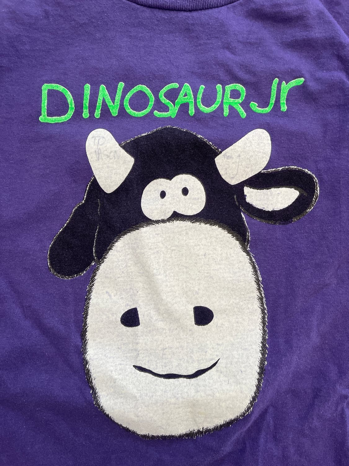 1991 dinosaur jr 다이노소어 주니어 티셔츠 xl 상품이미지2
