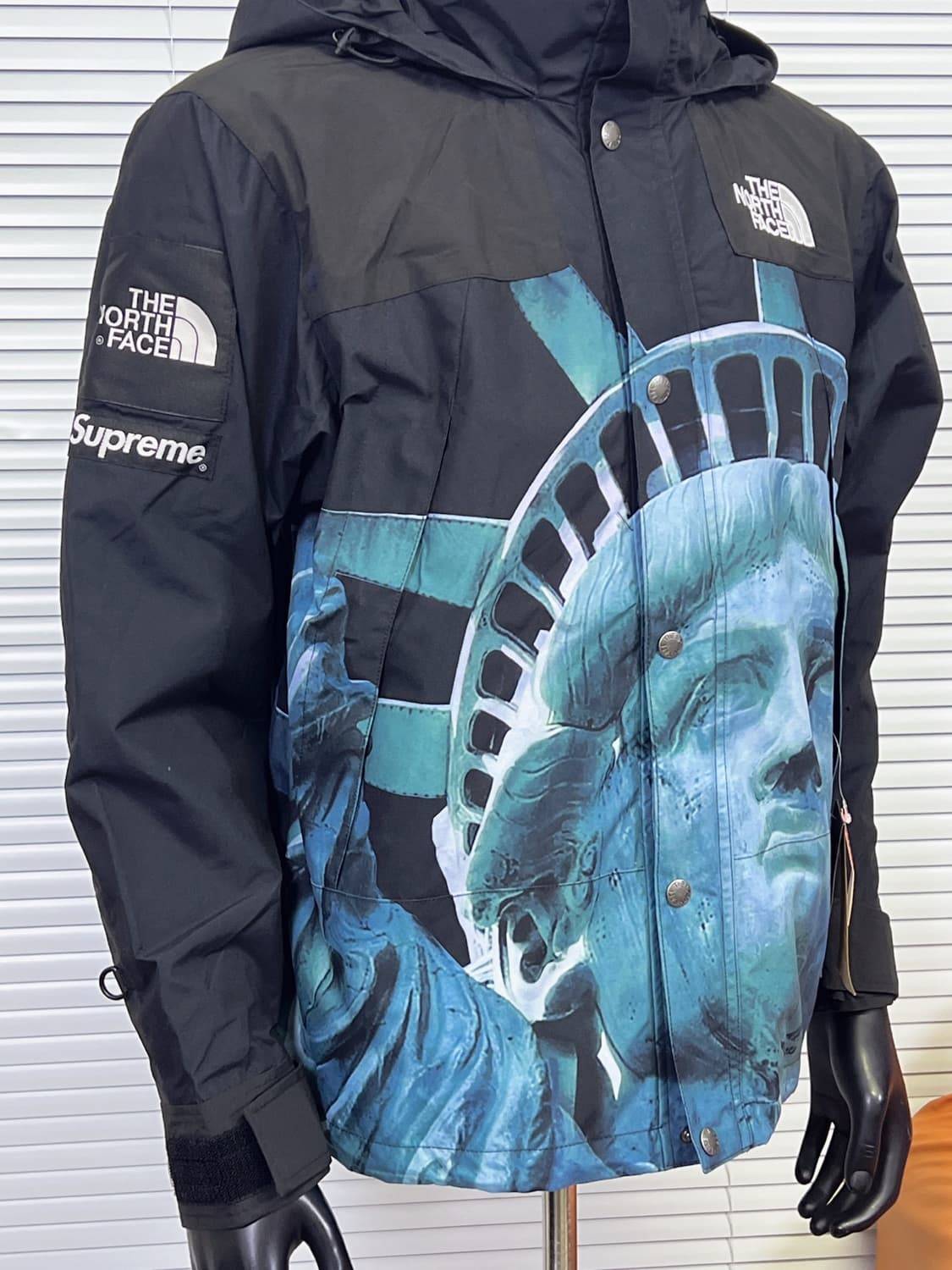 슈프림 x 노스페이스 자유의 여신상 발토로 자켓 블랙 상품이미지4