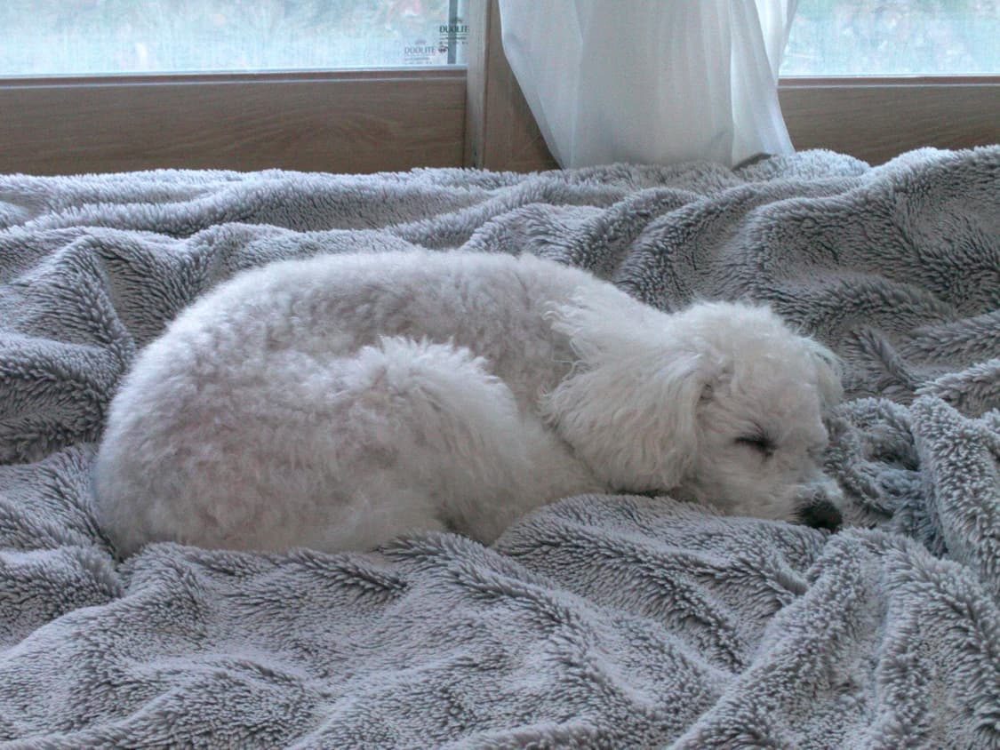 삼성 HMX -U10 빈티지 디지털카메라 캠코더 상품이미지10