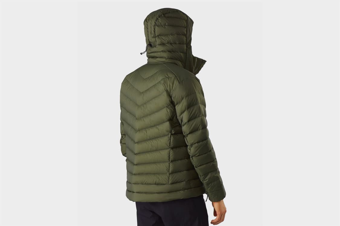 L 아크테릭스 아그리움 후디  타츠 상품이미지6