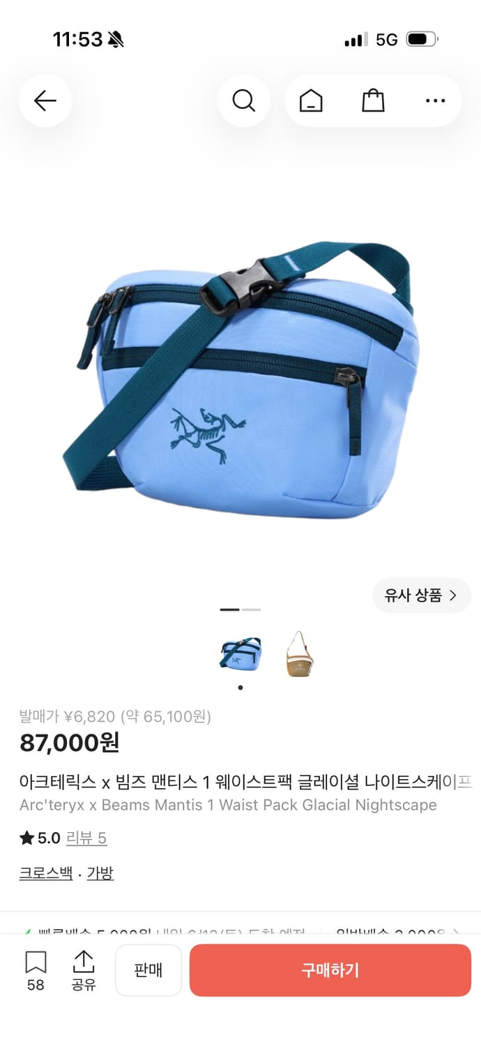 아크테릭스 X 빔즈 맨티스 1 글레이셜  상품이미지3