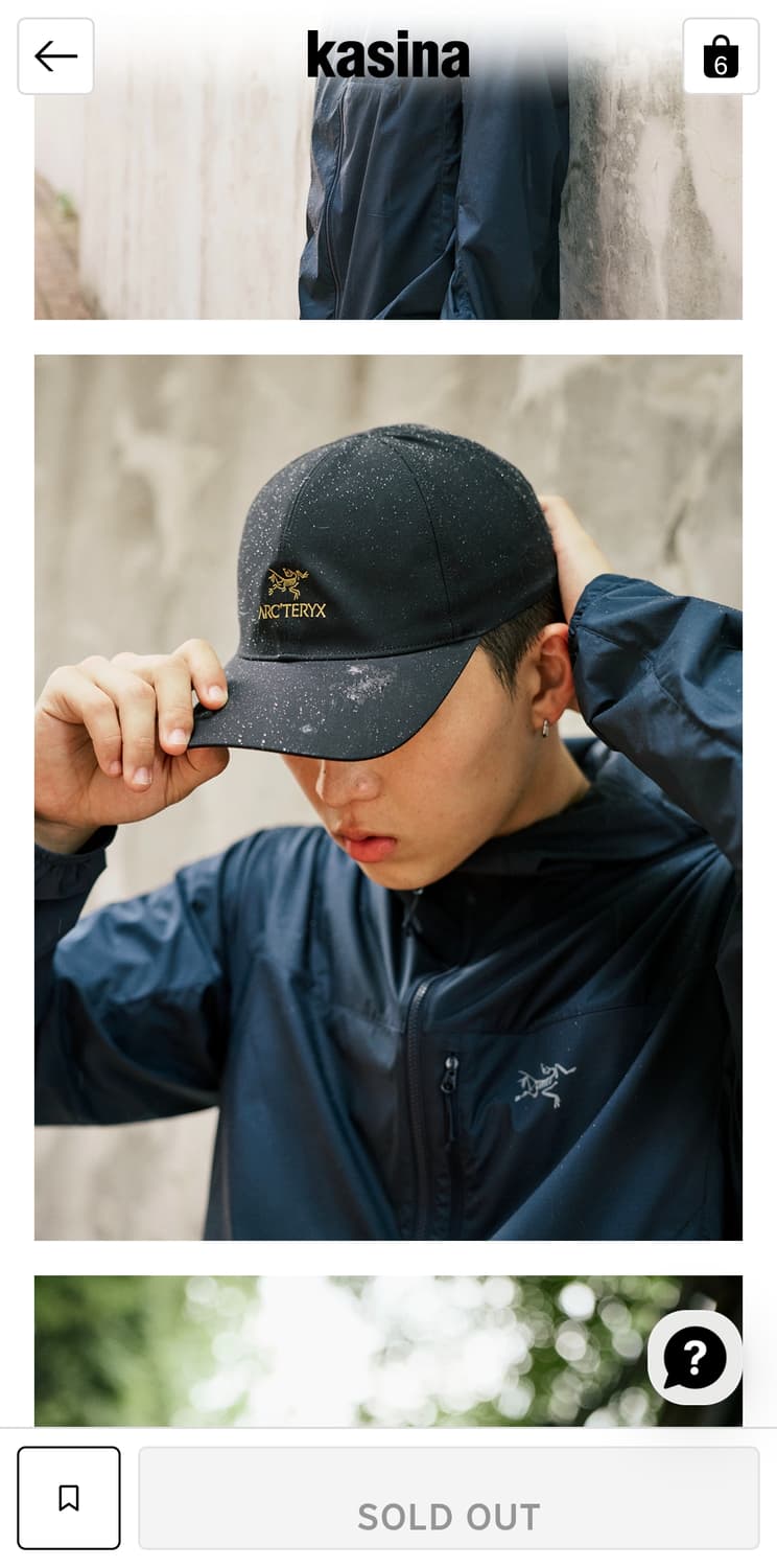 아크테릭스 버드 워드 캡 24K 블랙 상품이미지4