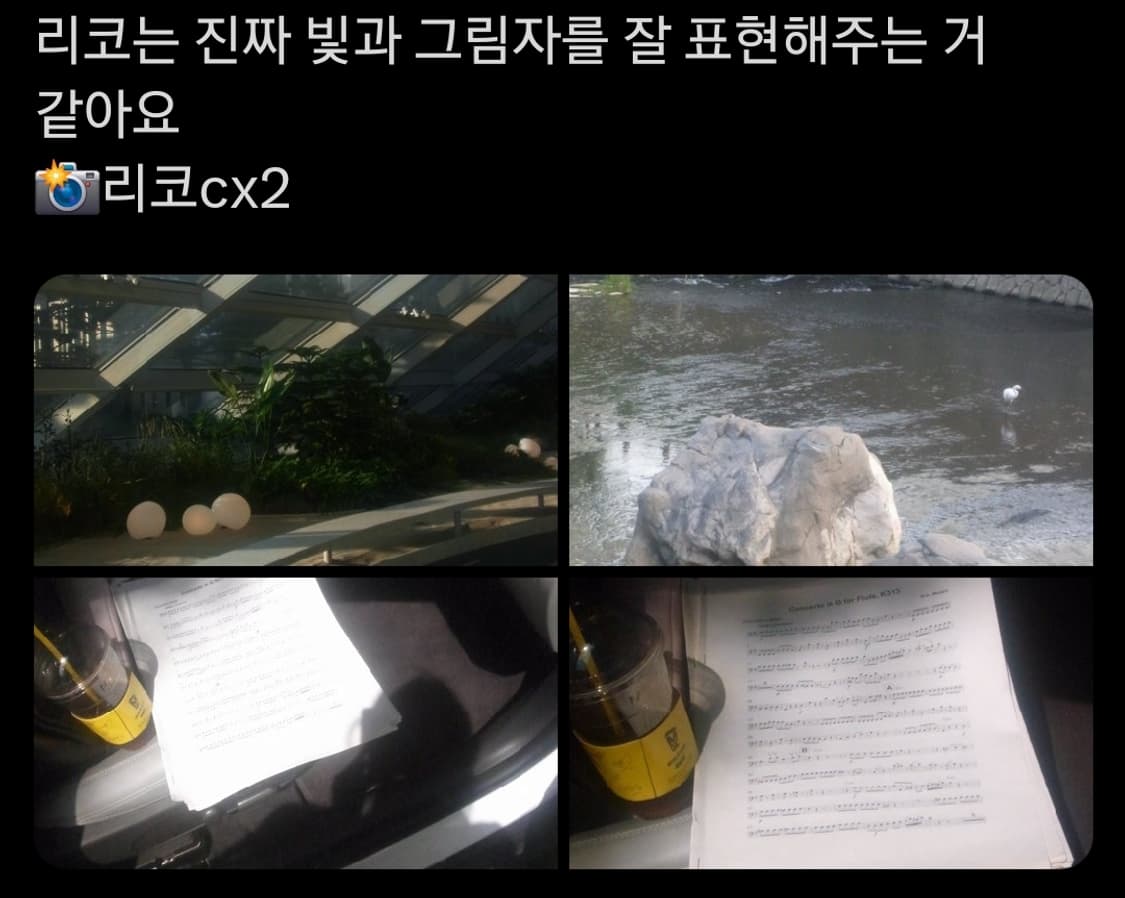 리코 cx2 실버 빈티지 디카 상품이미지7