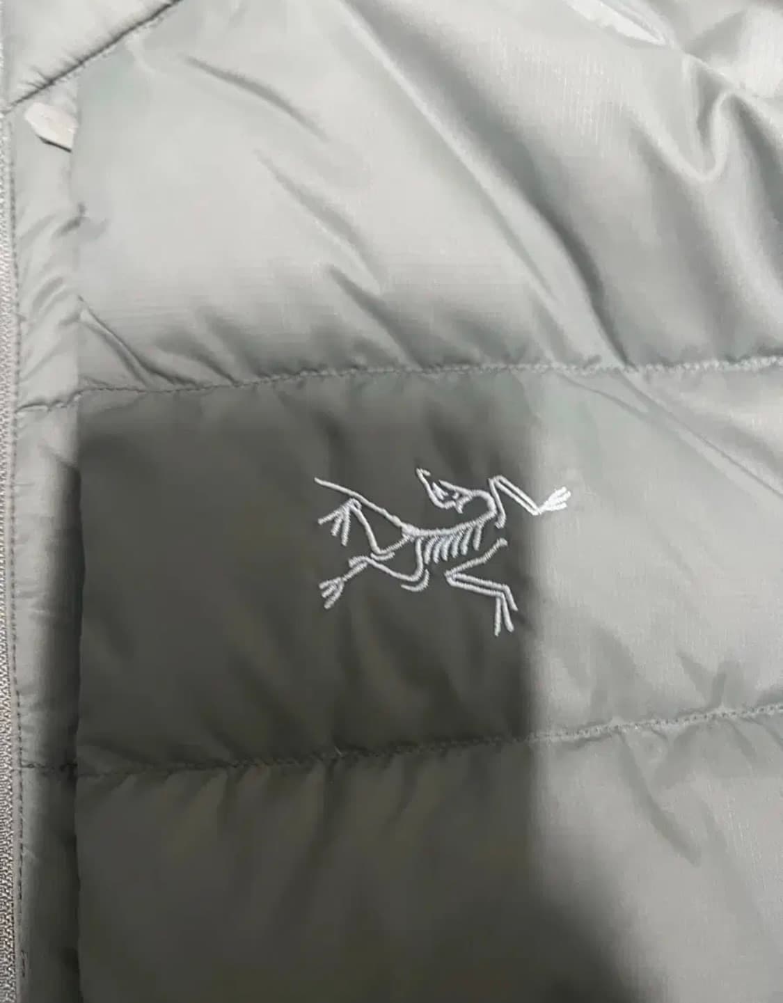 아크테릭스 토륨 포리지 m 상품이미지4