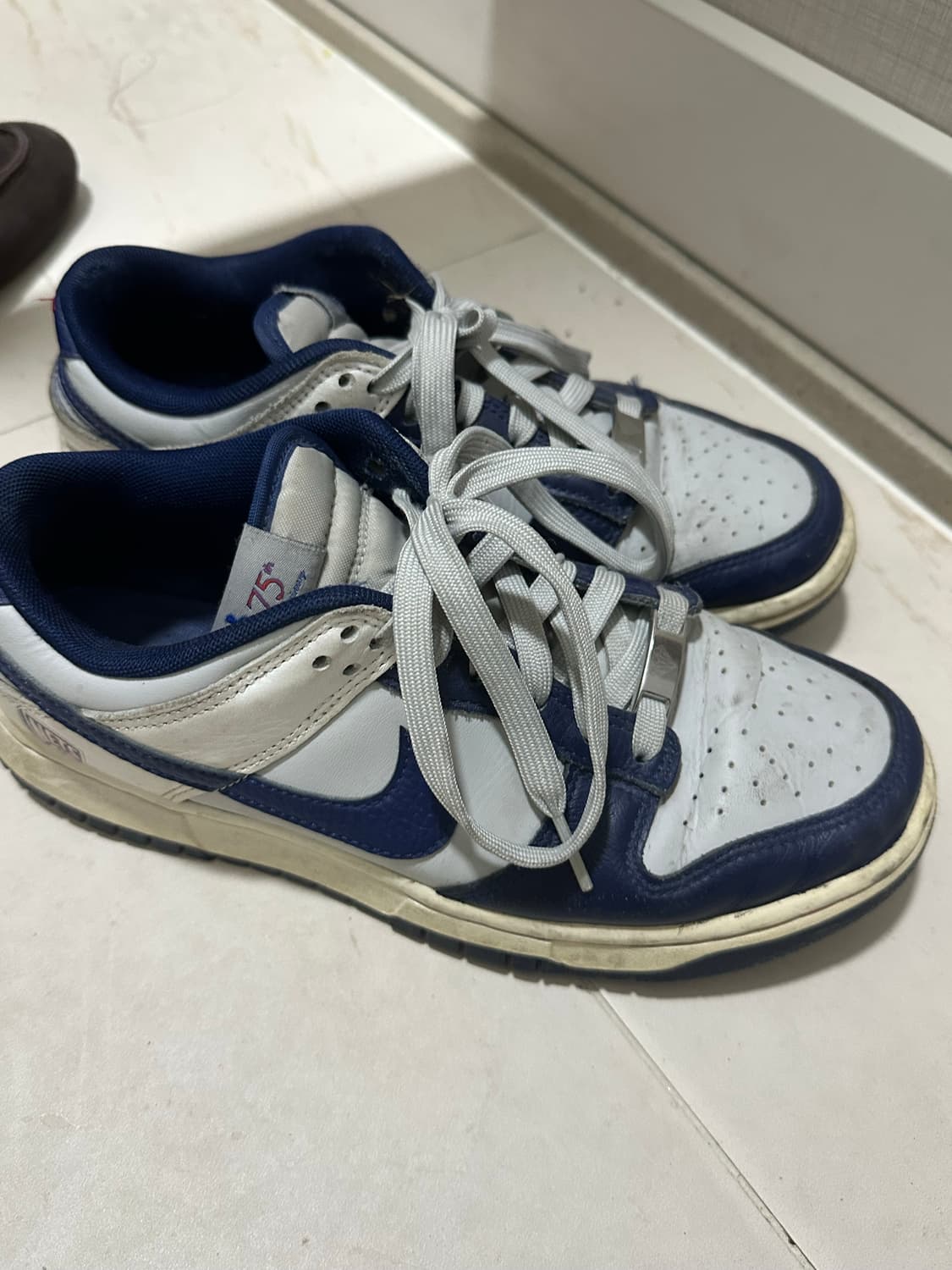  나이키 x NBA 덩크 로우 레트로 EMB 네츠 245 상품이미지3