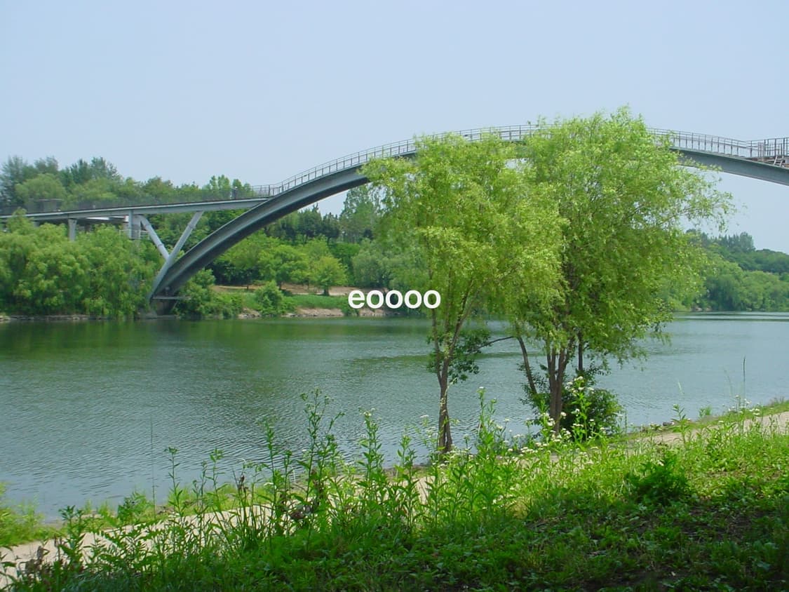 소니 사이버샷 DSC-P50 상품이미지10