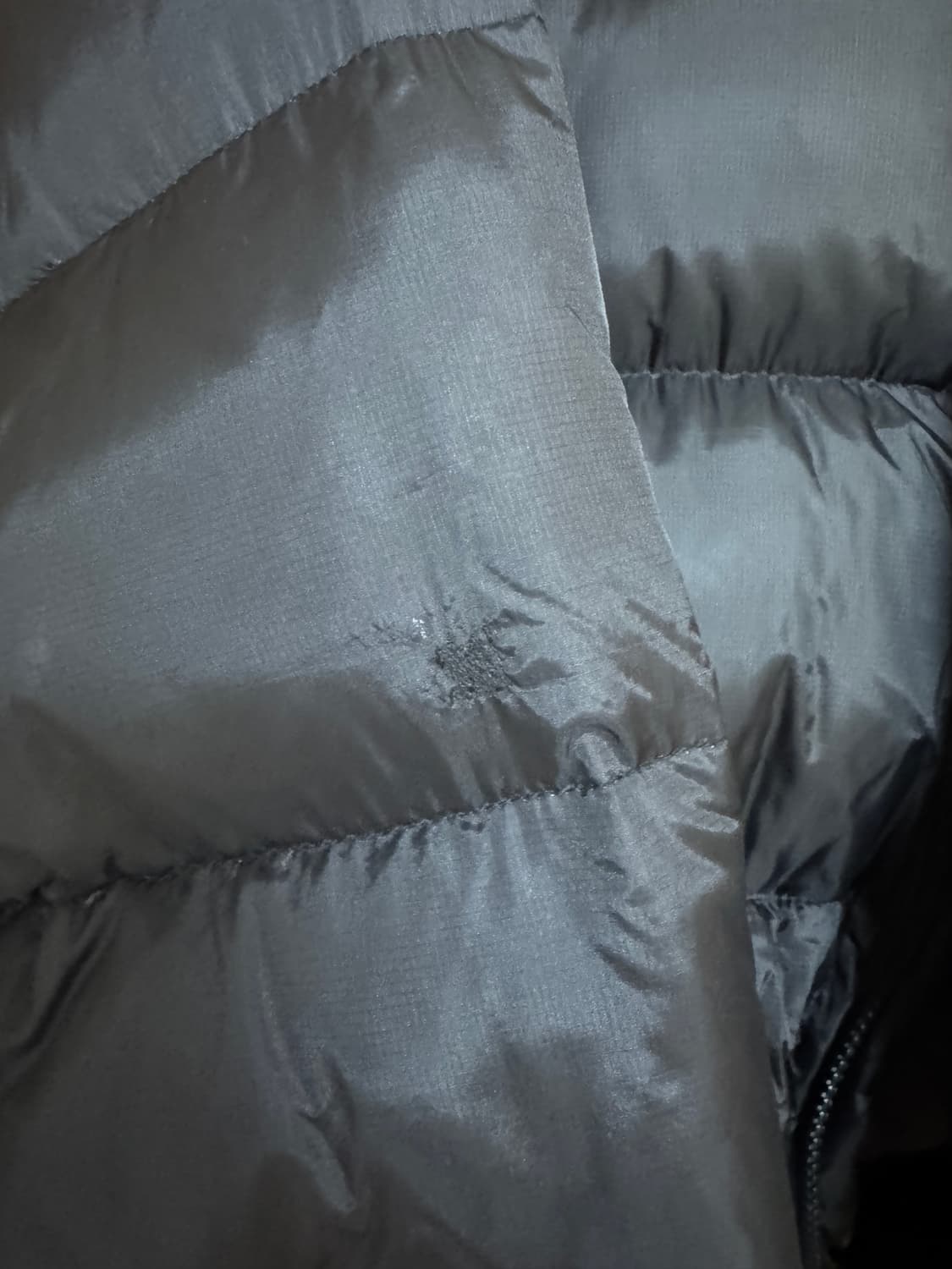 비바스튜디오패딩 상품이미지3