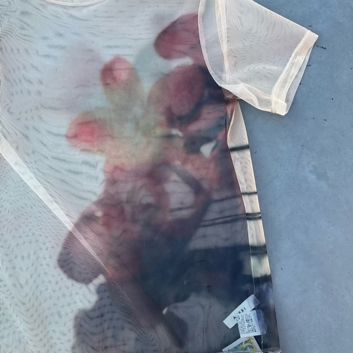 Ameri sheer top 상품이미지4