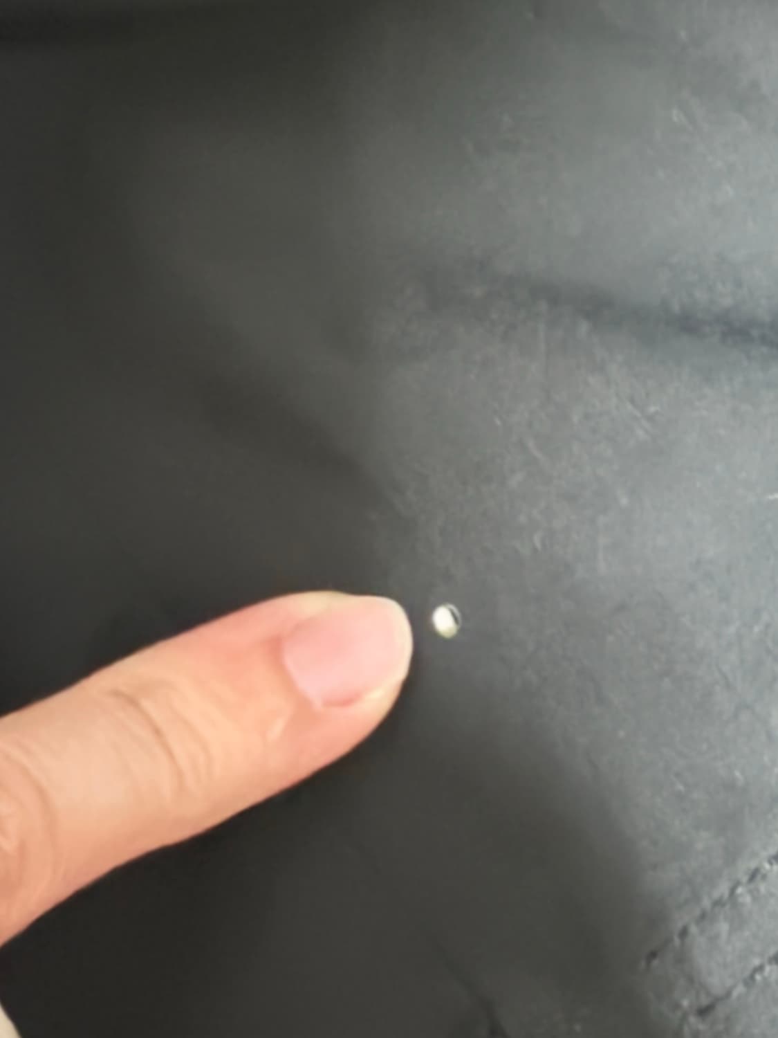 다이와피어 상품이미지4