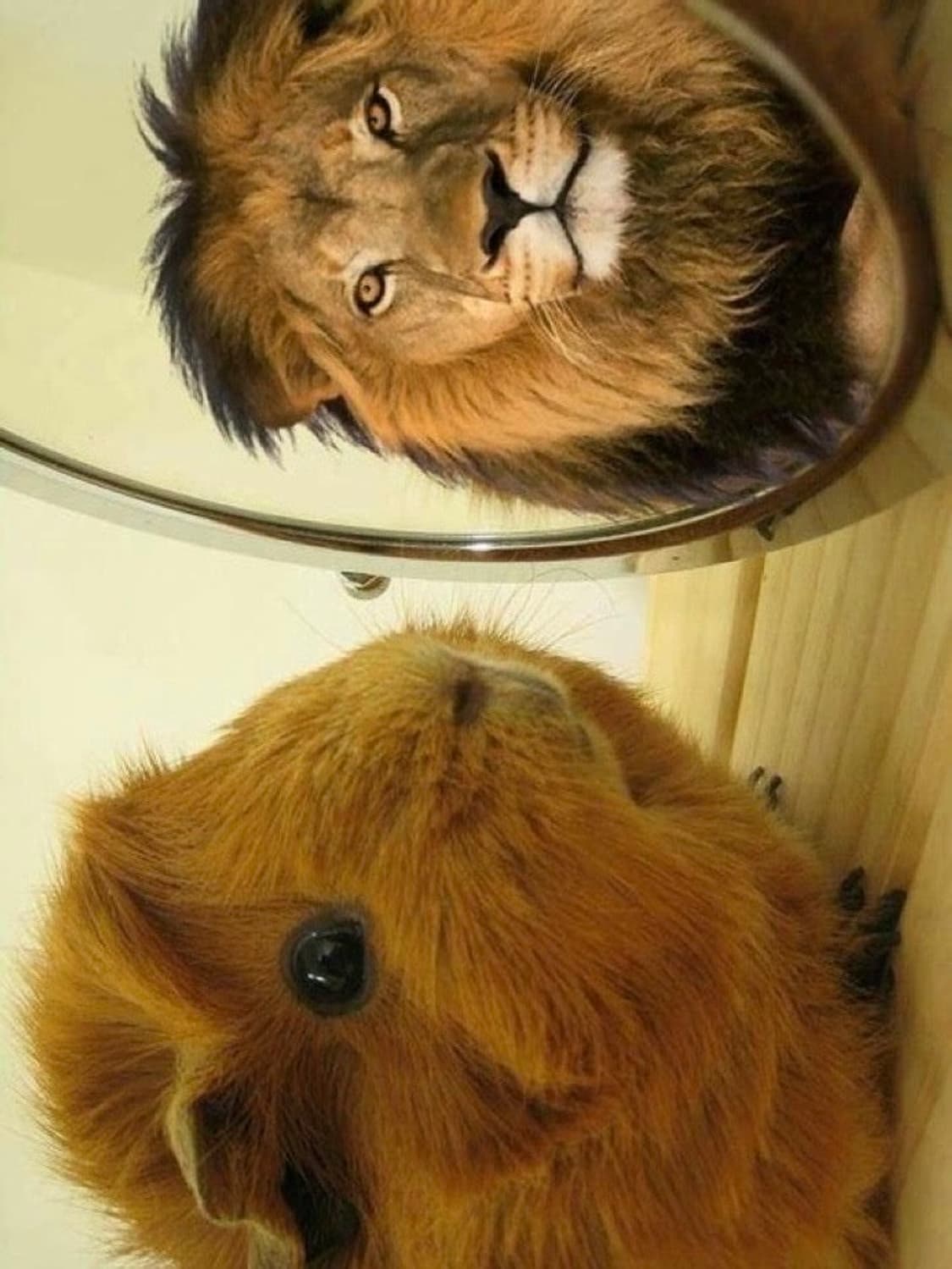 오픈와이 봄버 상품이미지1