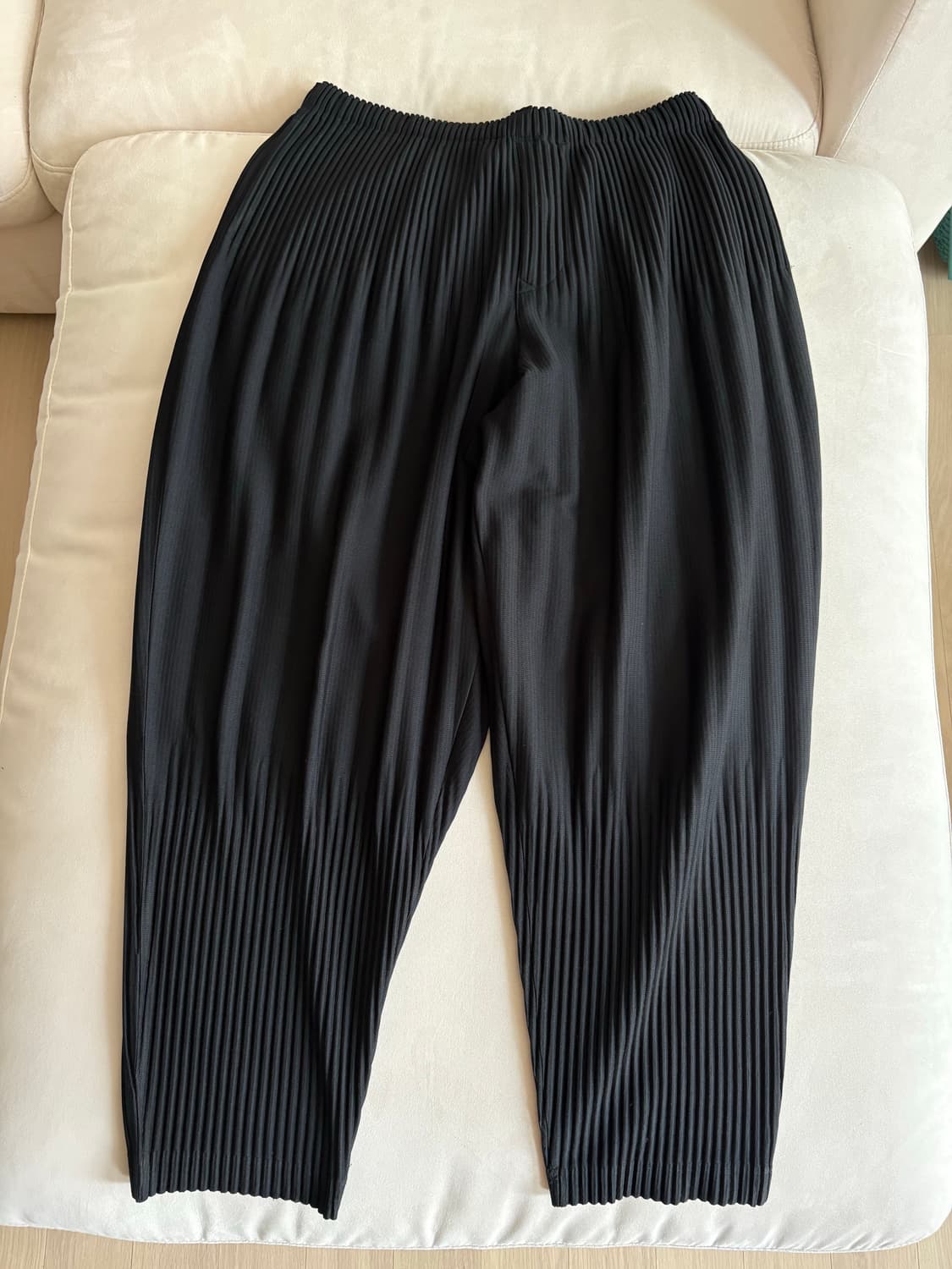 [3] 이세이미야케 옴므플리세 JF151 상품이미지2