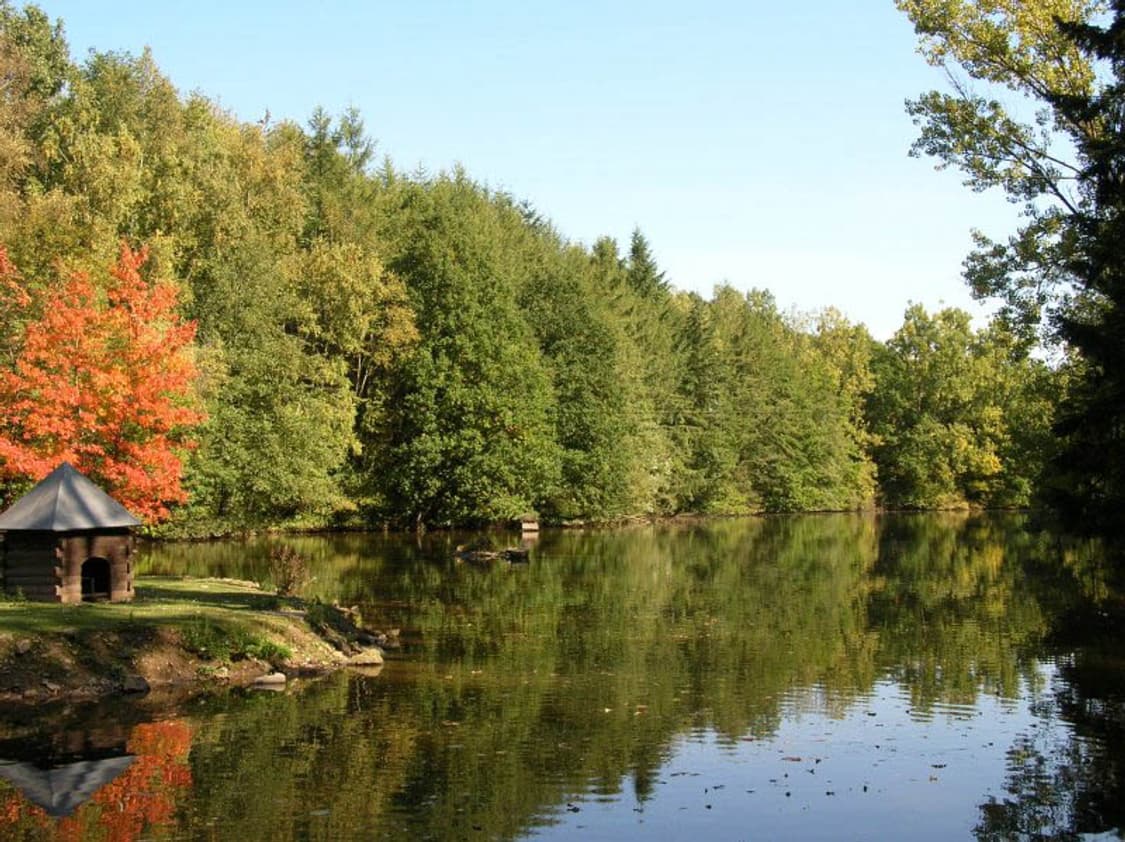 Kodak EasyShare C340 (코닥 이지쉐어 C340) 상품이미지8