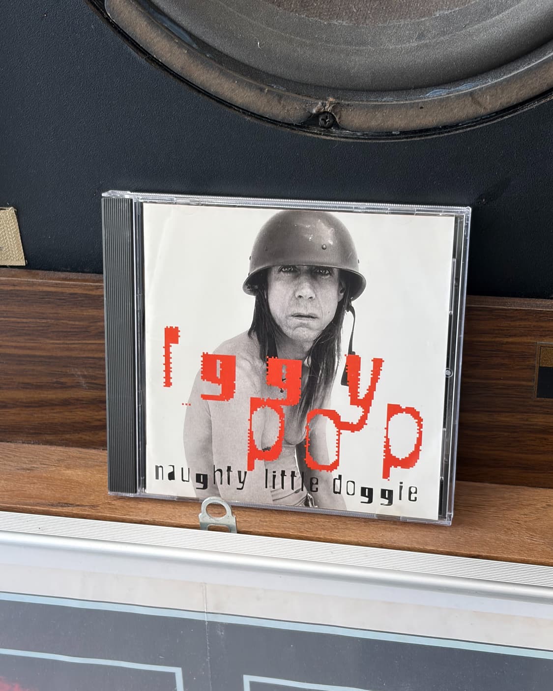 Iggy Pop 상품이미지1