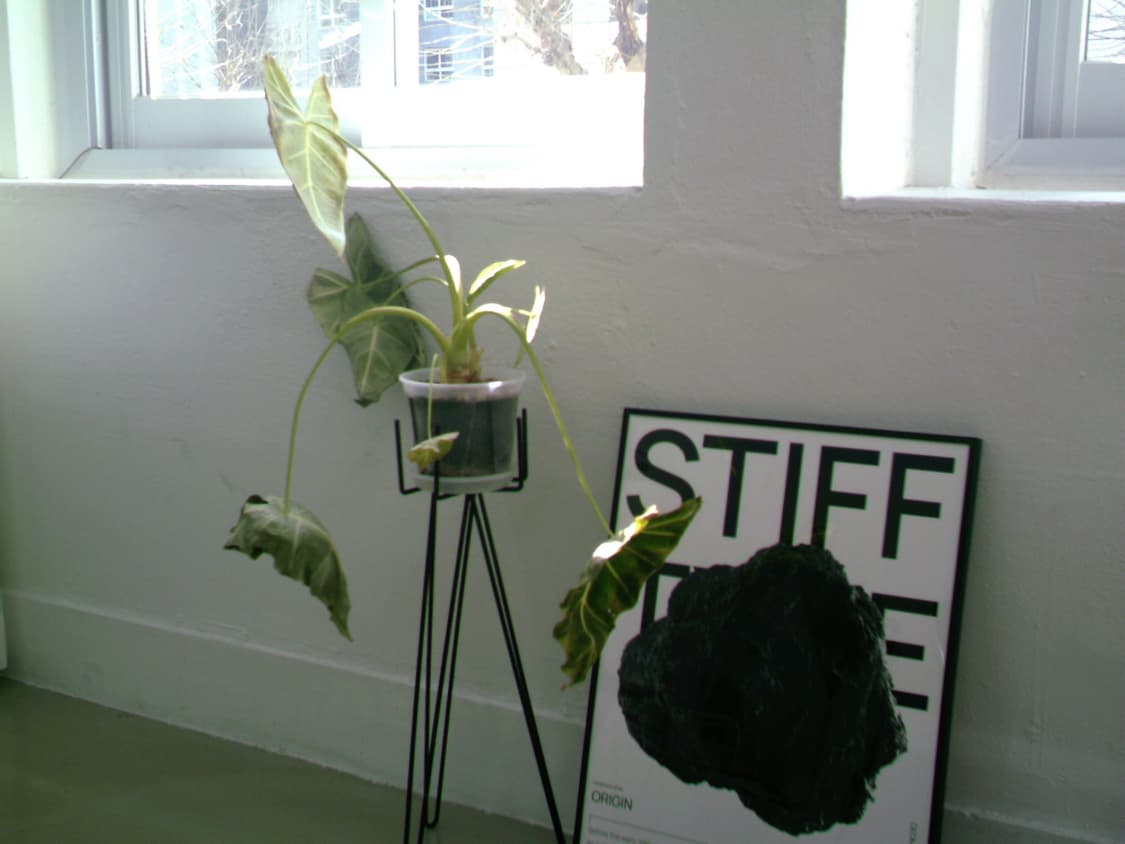 (작례o) vivita vivicam 3765 디카 상품이미지8