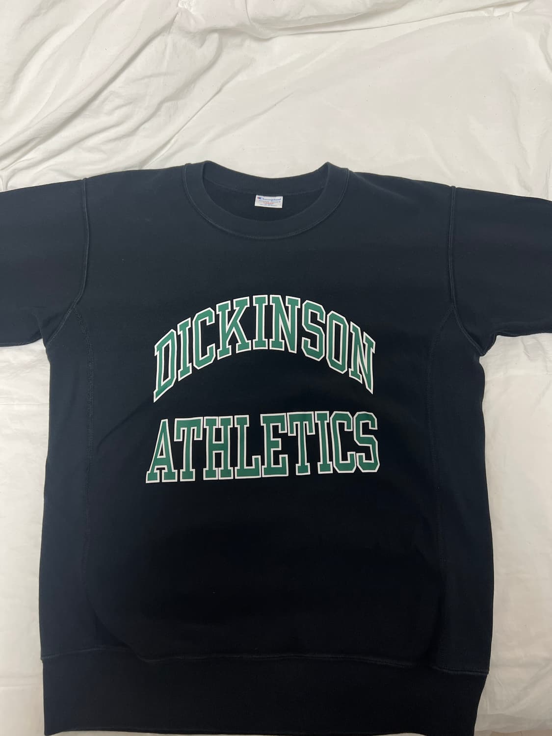 챔피온 리버스위브 스웻셔츠 L 상품이미지3