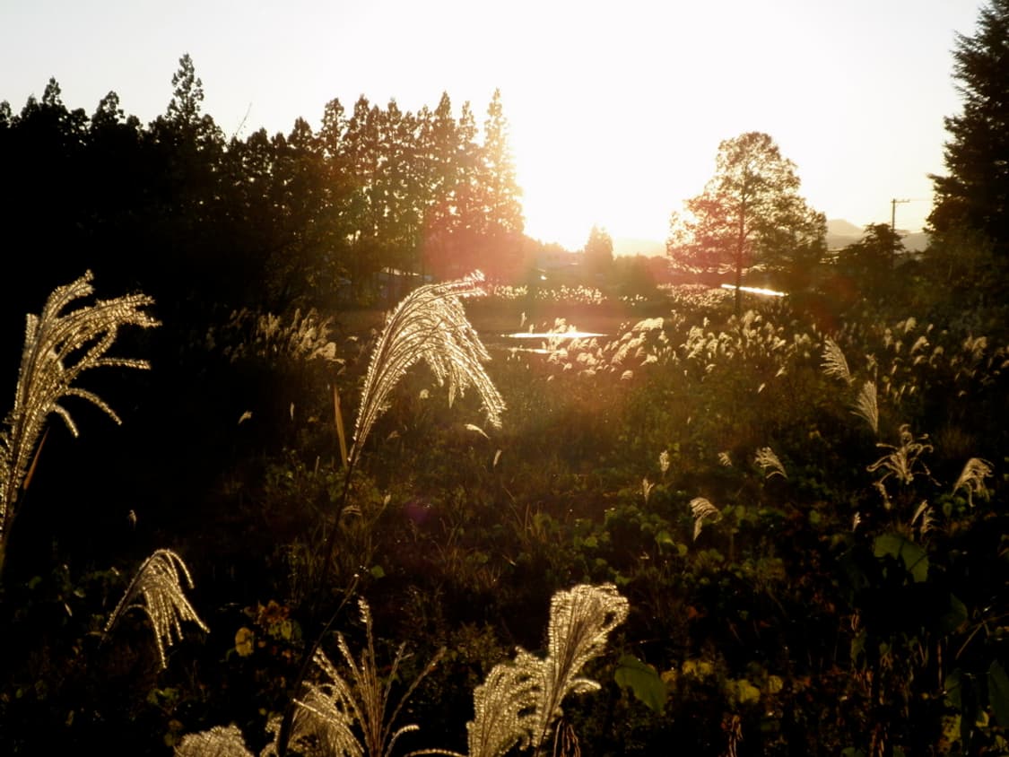 OLYMPUS μ-7000 뮤 7000 작례 o 상품이미지8