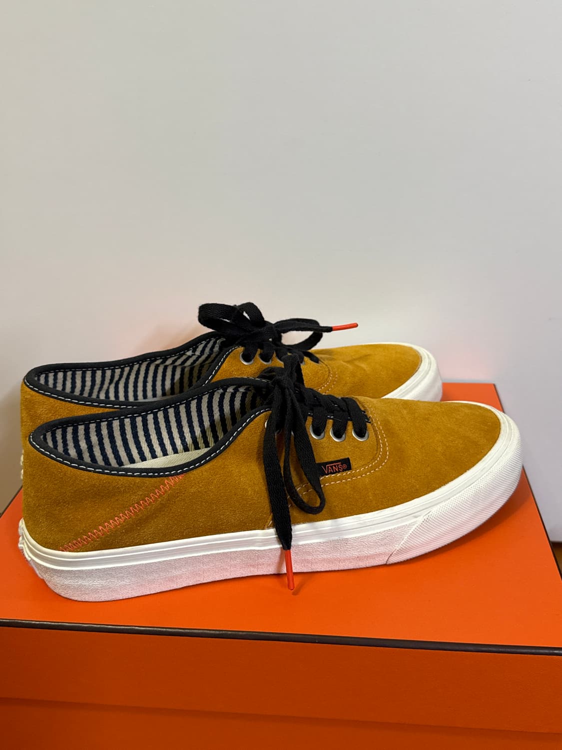 반스 그로쓰 가든 선플라워 상품이미지4