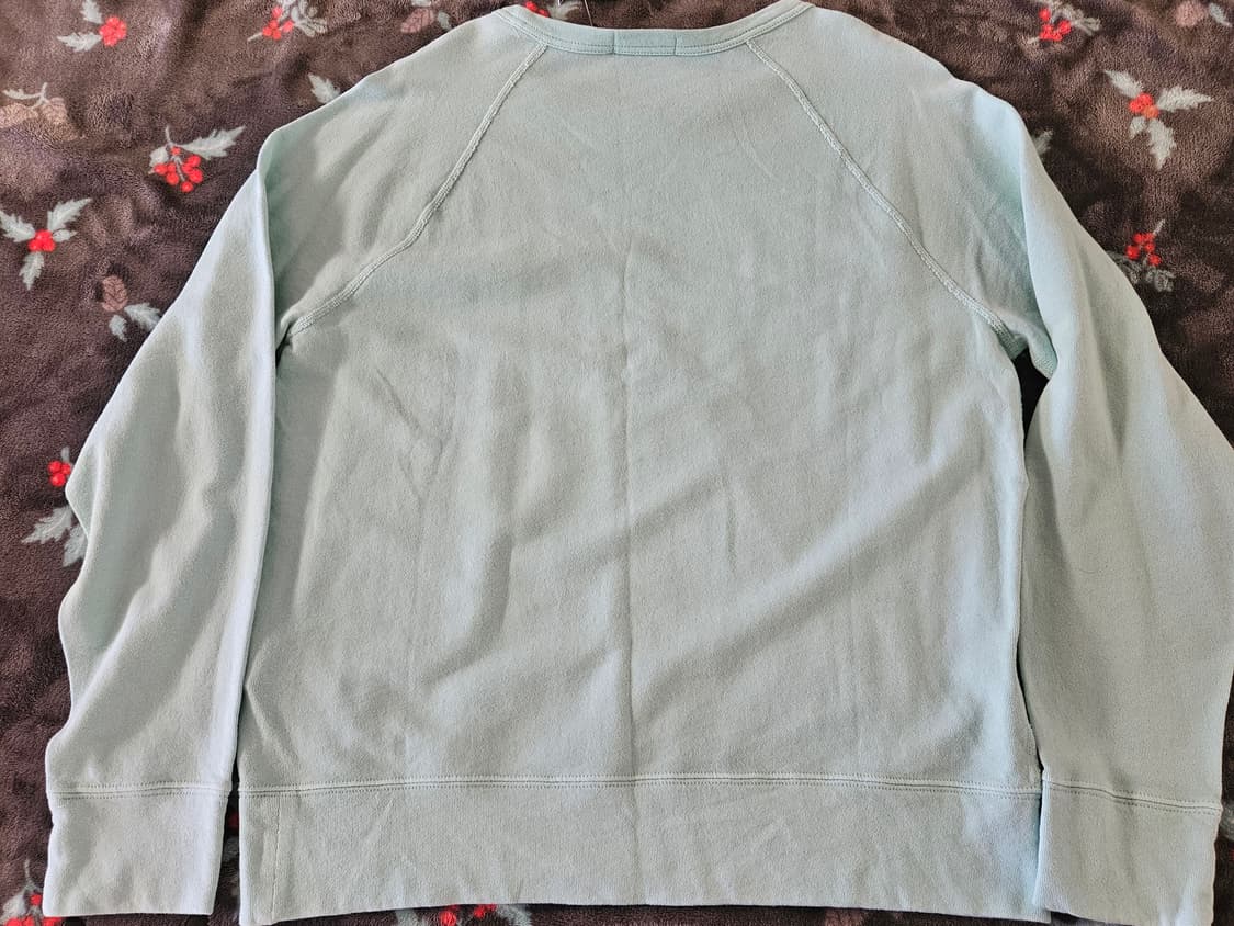 [해외M] 폴로 랄프 로렌 코튼 스파 테리 스웨트셔츠 민트 컬러 상품이미지8